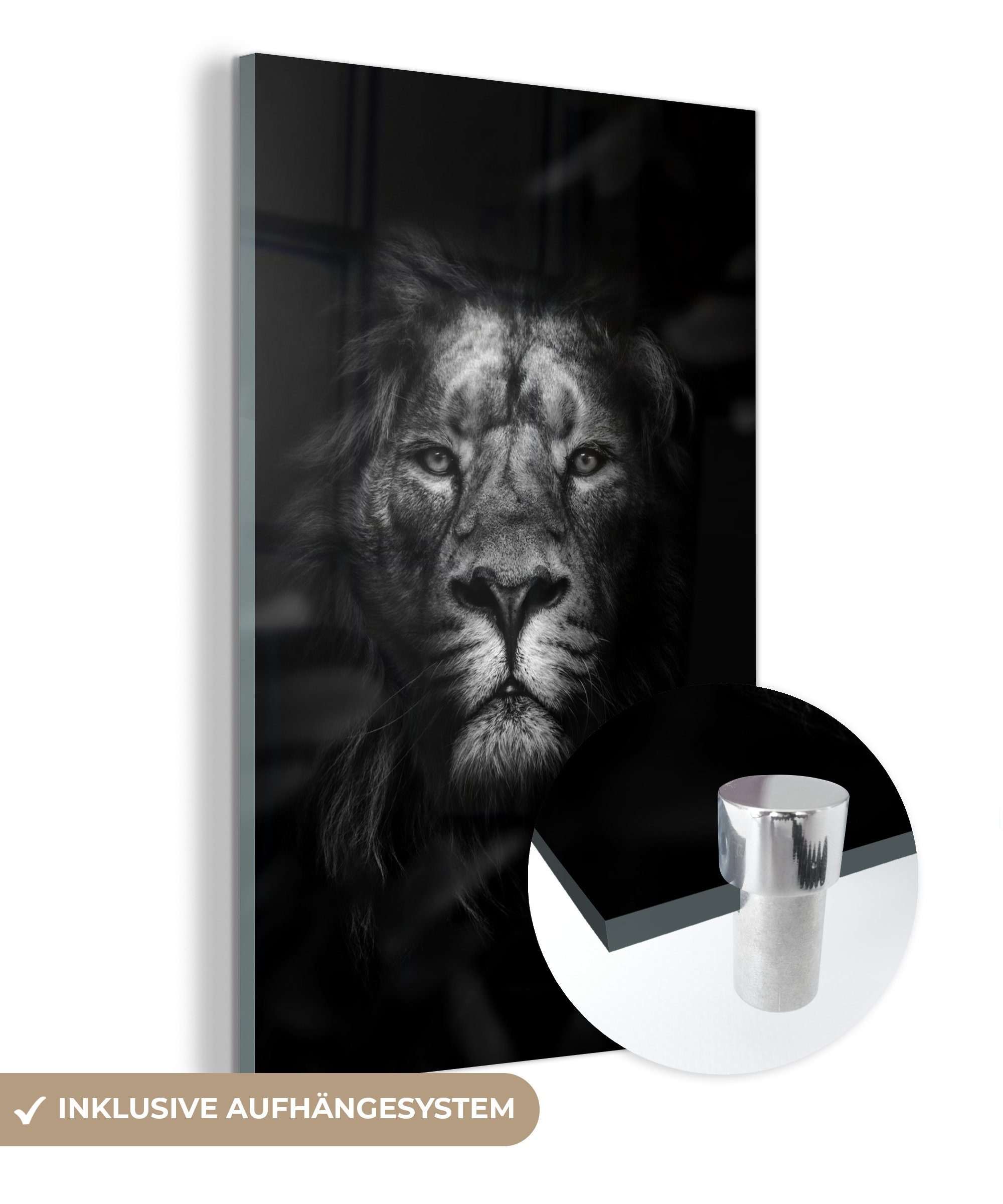 MuchoWow Acrylglasbild Porträt eines Löwen im Dschungel - schwarz und weiß, (1 St), Glasbilder - Bilder auf Glas Wandbild - Foto auf Glas - Wanddekoration bunt | Bilder