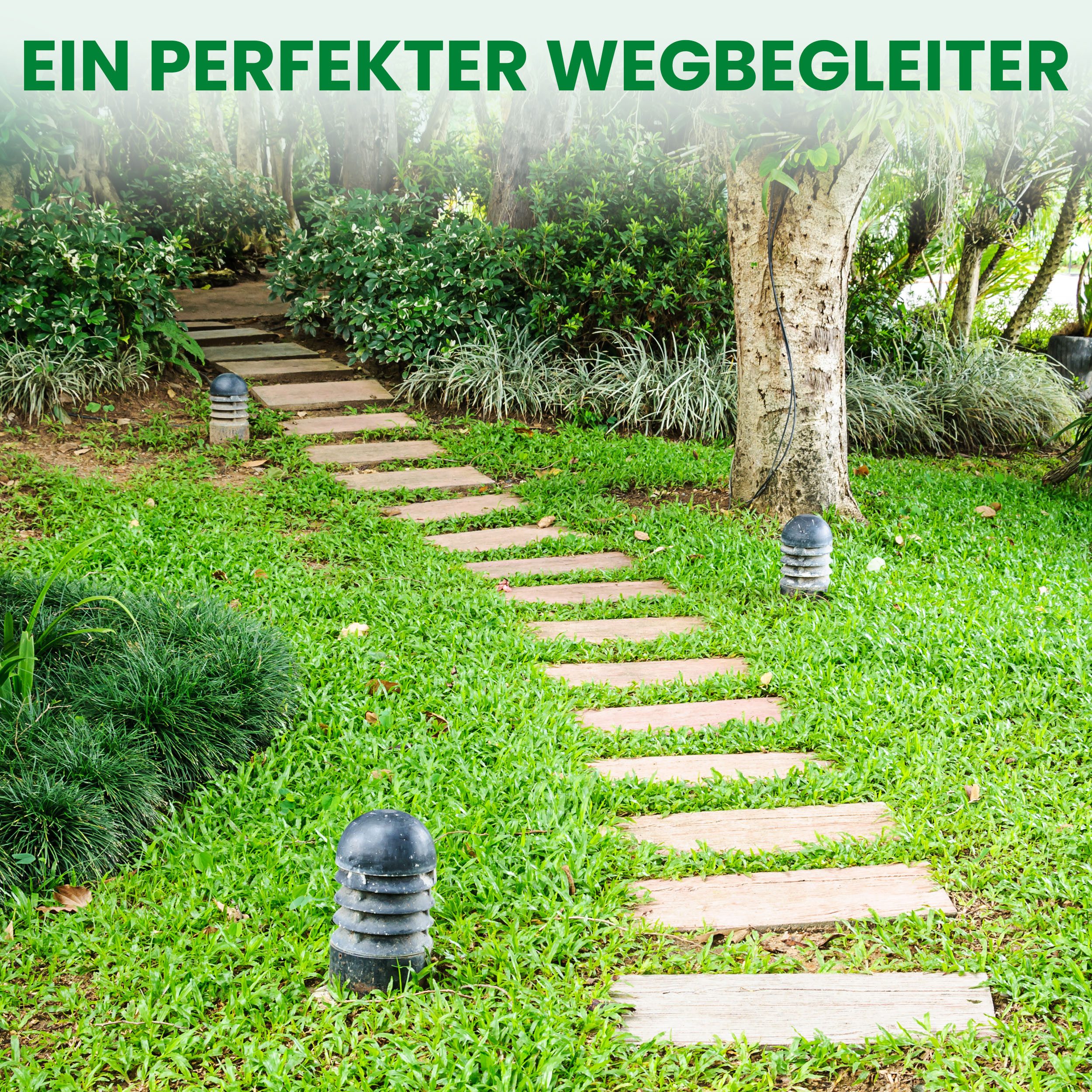 Gartenwelt Riegelsberger Holzfliesen Rollweg aus Lärche Gartenweg Holztritte Terrasse Dielen