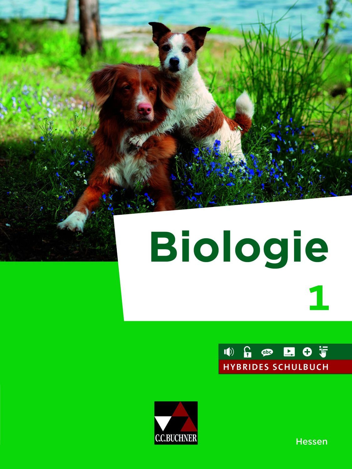 Biologie Hessen 1 Ausgabe ab 2027 / Philipp Karl, Helen Dies, Claudia Eisenhart Rothe, Bärbel Treiber de Espinosa, Margit Schmidt