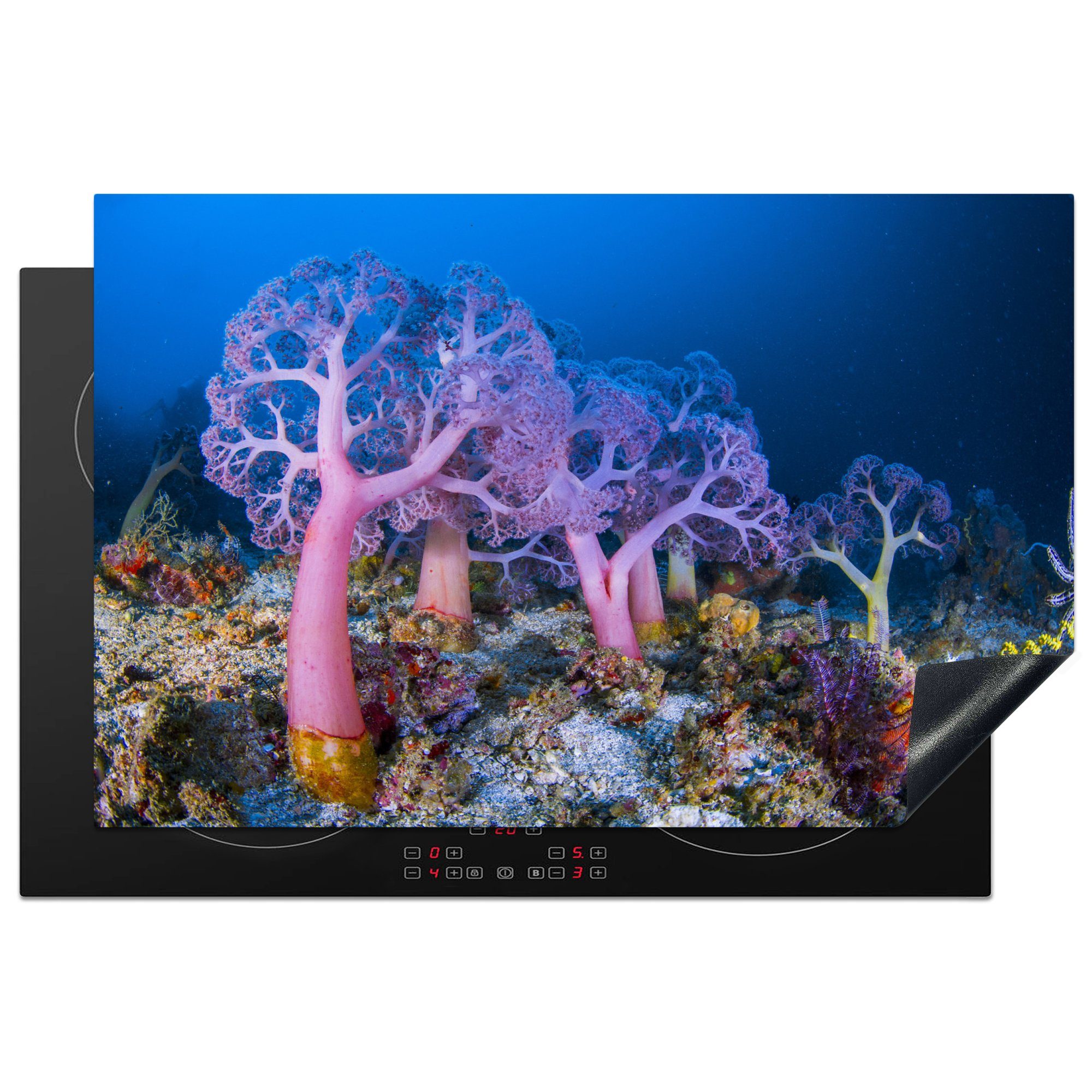 MuchoWow Herdblende-/Abdeckplatte Koralle unter Wasser, Vinyl, (1 tlg), 81x52 cm, Induktionskochfeld Schutz für die küche, Ceranfeldabdeckung