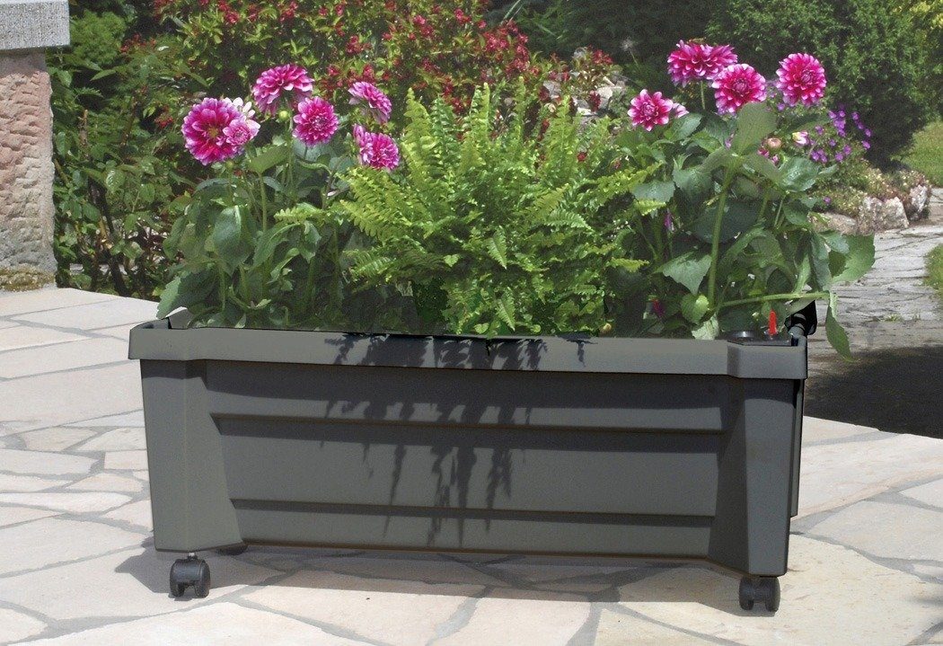 KHW Pflanzkübel, Pflanzkasten auf Rollen mit Bewässerungssystem, BxTxH: 79x35x33 cm