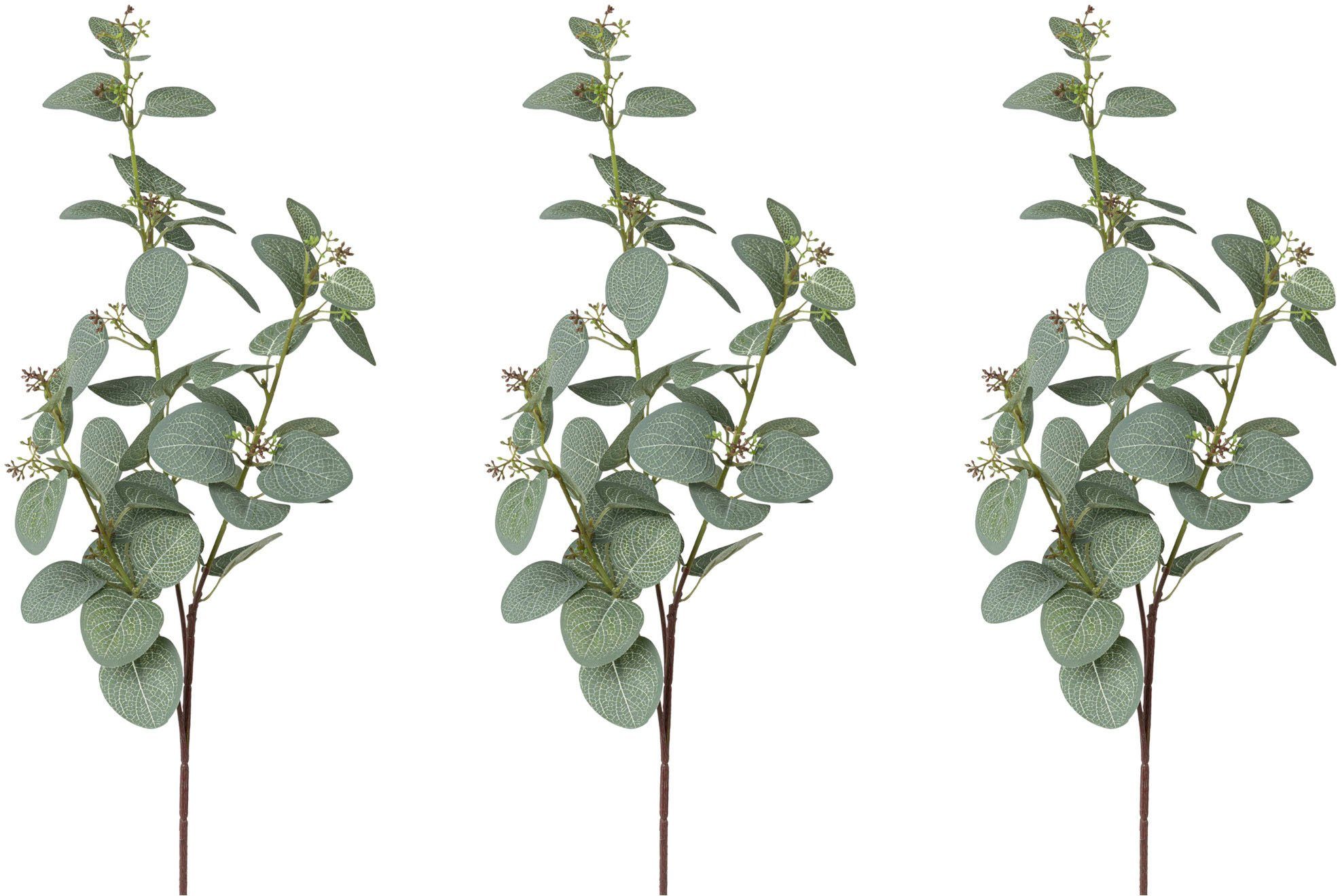 Kunstzweig Eukalyptuszweig Eukalypthus, Creativ green, Höhe günstig online kaufen