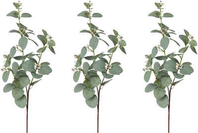 Kunstzweig Eukalyptuszweig Eukalypthus, Creativ green, Höhe 72 cm