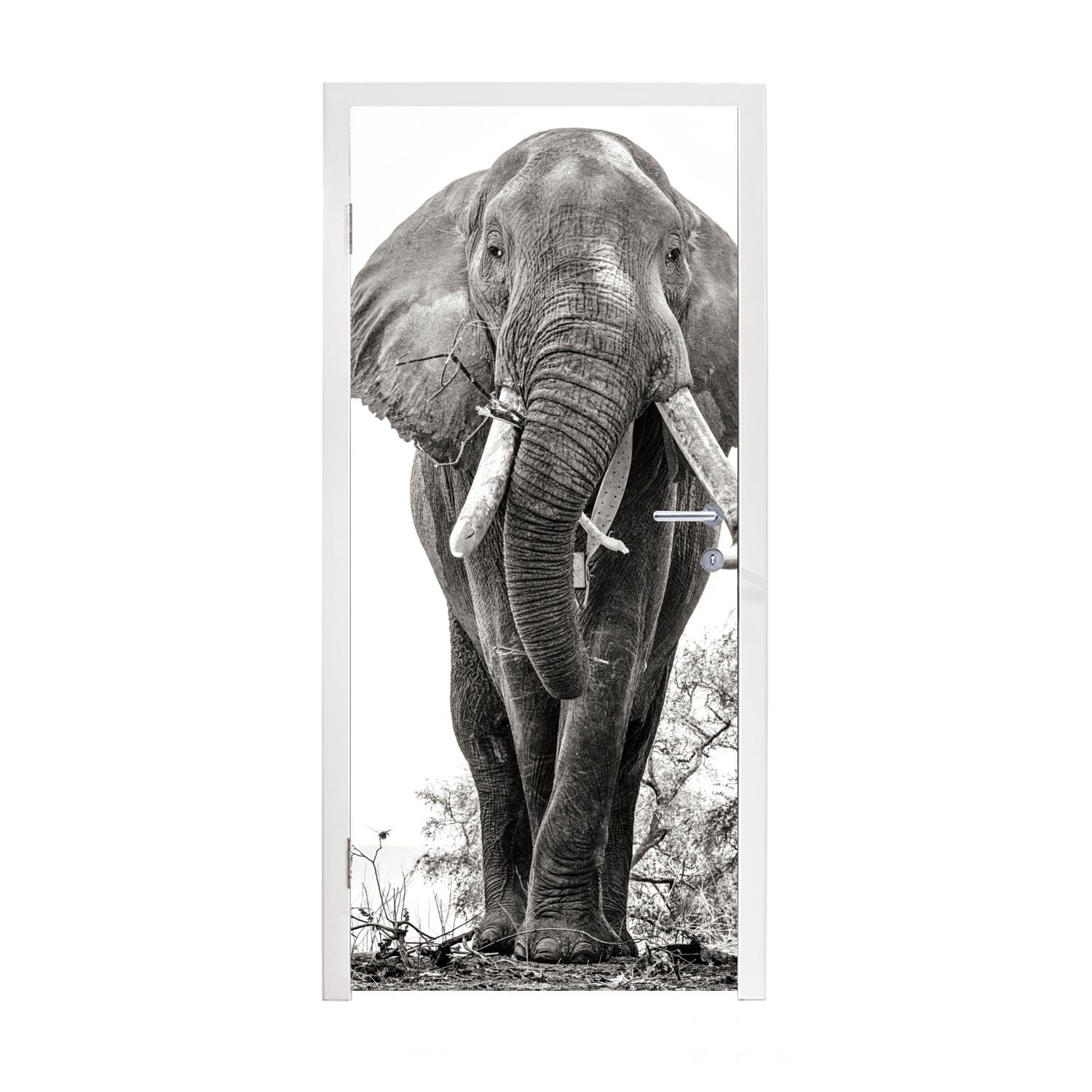 MuchoWow Türtapete Elefant - Porträt - Tiere - Schwarz und weiß, Matt, bedruckt, (1 St), Fototapete für Tür, Türaufkleber, 75x205 cm