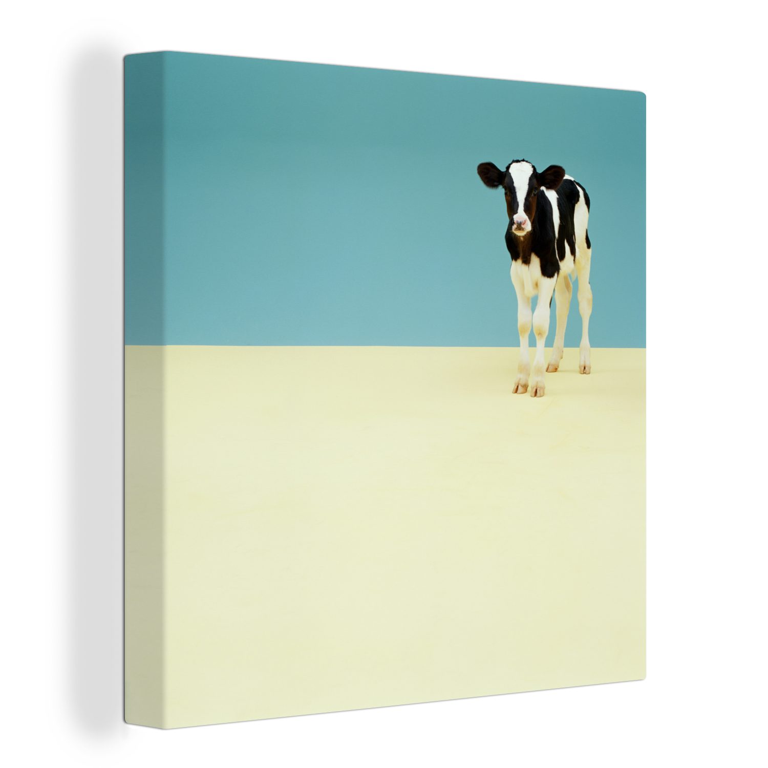 OneMillionCanvasses® Leinwandbild Kuh - Kalb - Friesland, (1 St), Leinwand Bilder für Wohnzimmer Schlafzimmer