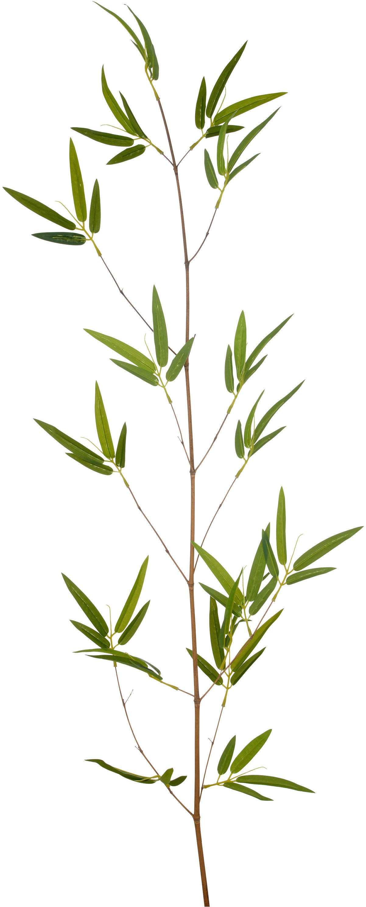 Kunstzweig Bambuszweig, Creativ green, Höhe 130 cm, mit detailgetreuer Gest günstig online kaufen