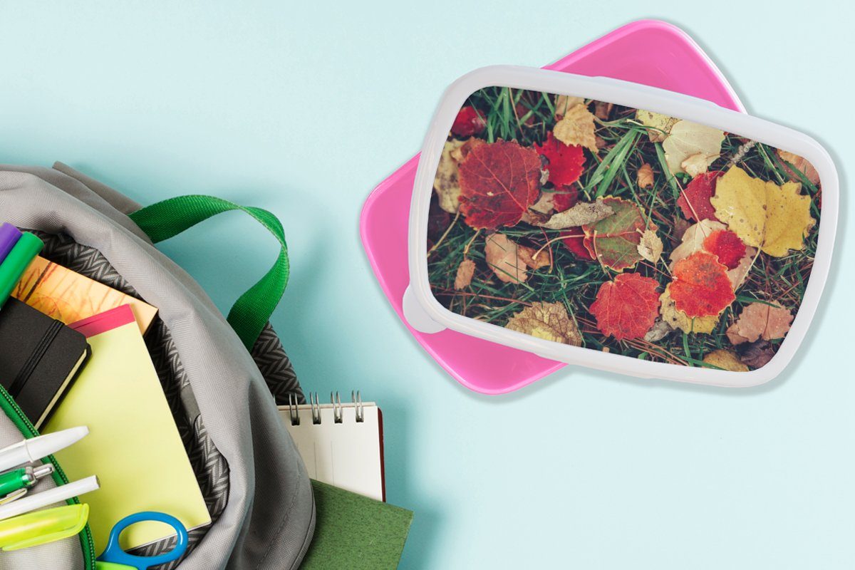 Natur, MuchoWow - - (2-tlg), Kunststoff für Mädchen, rosa Snackbox, Brotdose Kunststoff, Brotbox Kinder, Lunchbox November Blätter - Erwachsene, Herbst