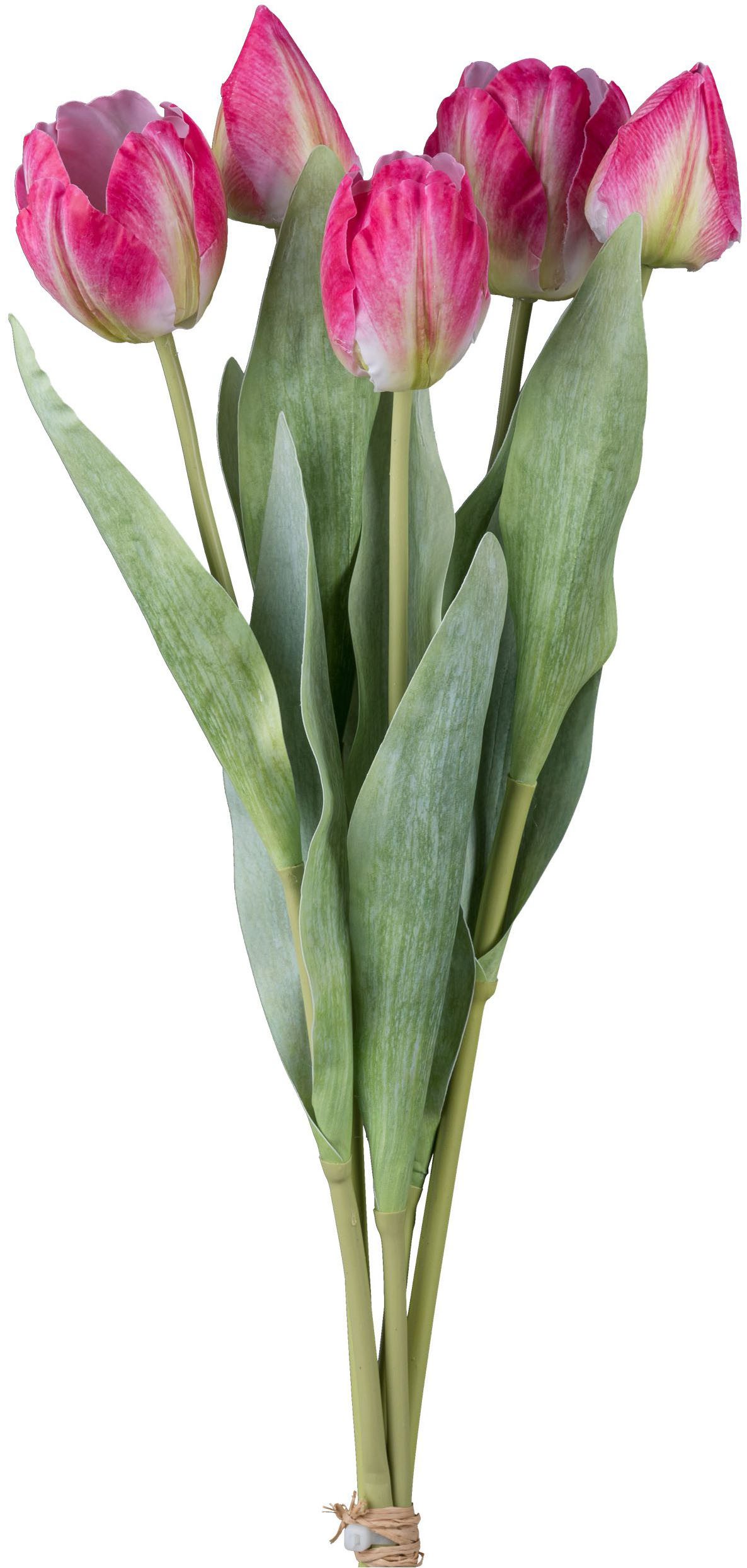 Kunsttulpe Bund aus Tulpen, Creativ green, Höhe 49 cm, mit 5 Stielen günstig online kaufen