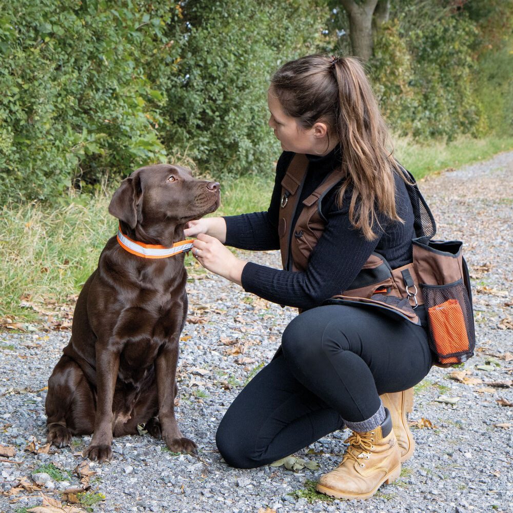 Mystique Funktionsweste Mystique® Dummy Weste Profi Cool - Hundeausbildung (1-tlg) Das gewisse Extra der Dummyweste Profi cool für den Sommer