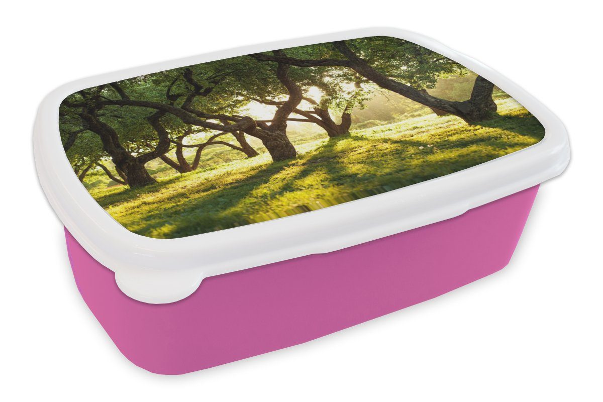 MuchoWow Lunchbox Bäume - Natur - Sonne, Kunststoff, (2-tlg), Brotbox für Erwachsene, Brotdose Kinder, Snackbox, Mädchen, Kunststoff rosa