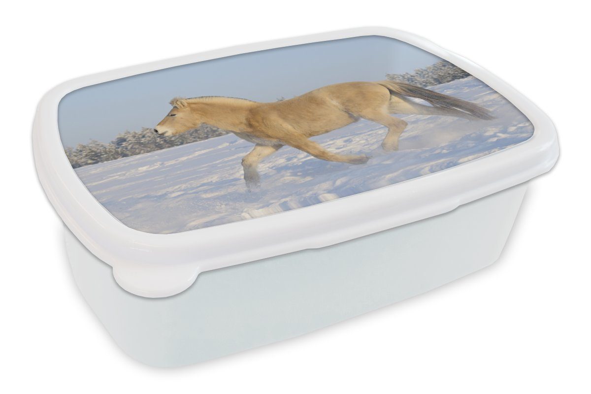MuchoWow Lunchbox Trabendes Fjordpferd im Schnee, Kunststoff, (2-tlg), Brotbox für Kinder und Erwachsene, Brotdose, für Jungs und Mädchen weiß