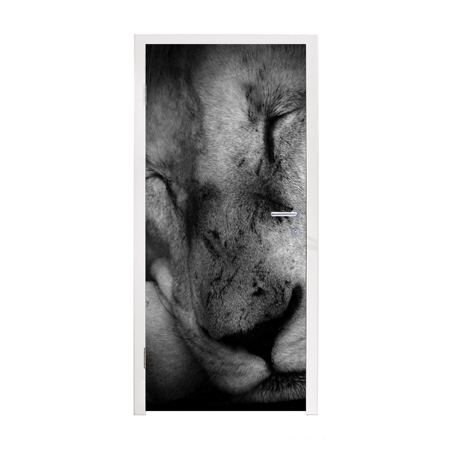 MuchoWow Türtapete Tierprofil schlafender Löwe Fototapete Matt, 75x205 Türaufkleber, St), bedruckt, (1 weiß, schwarz cm in Tür, und für