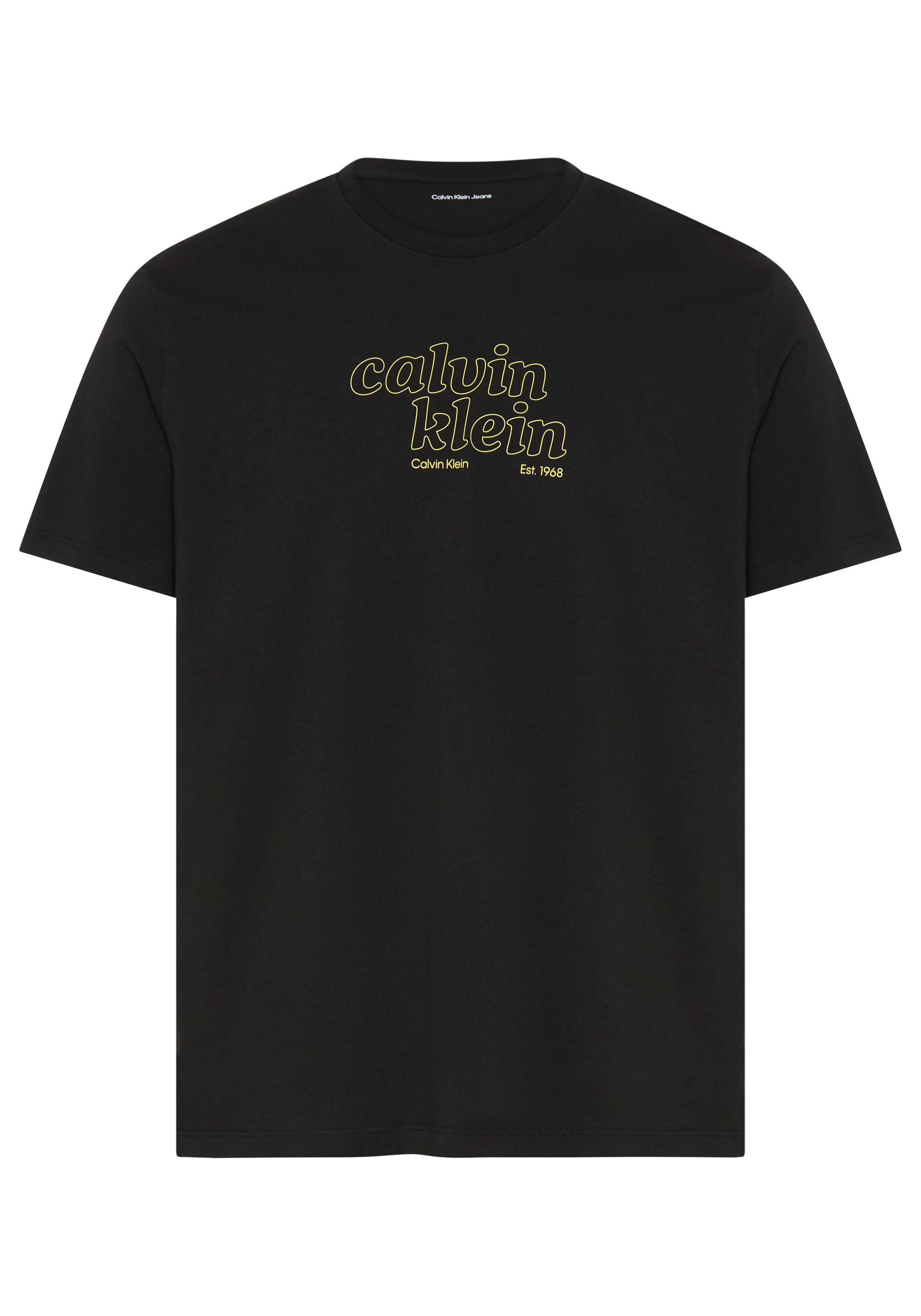Calvin Klein Jeans T-Shirt CALVIN KLEIN GRAP Regular fit mit Markenprint
