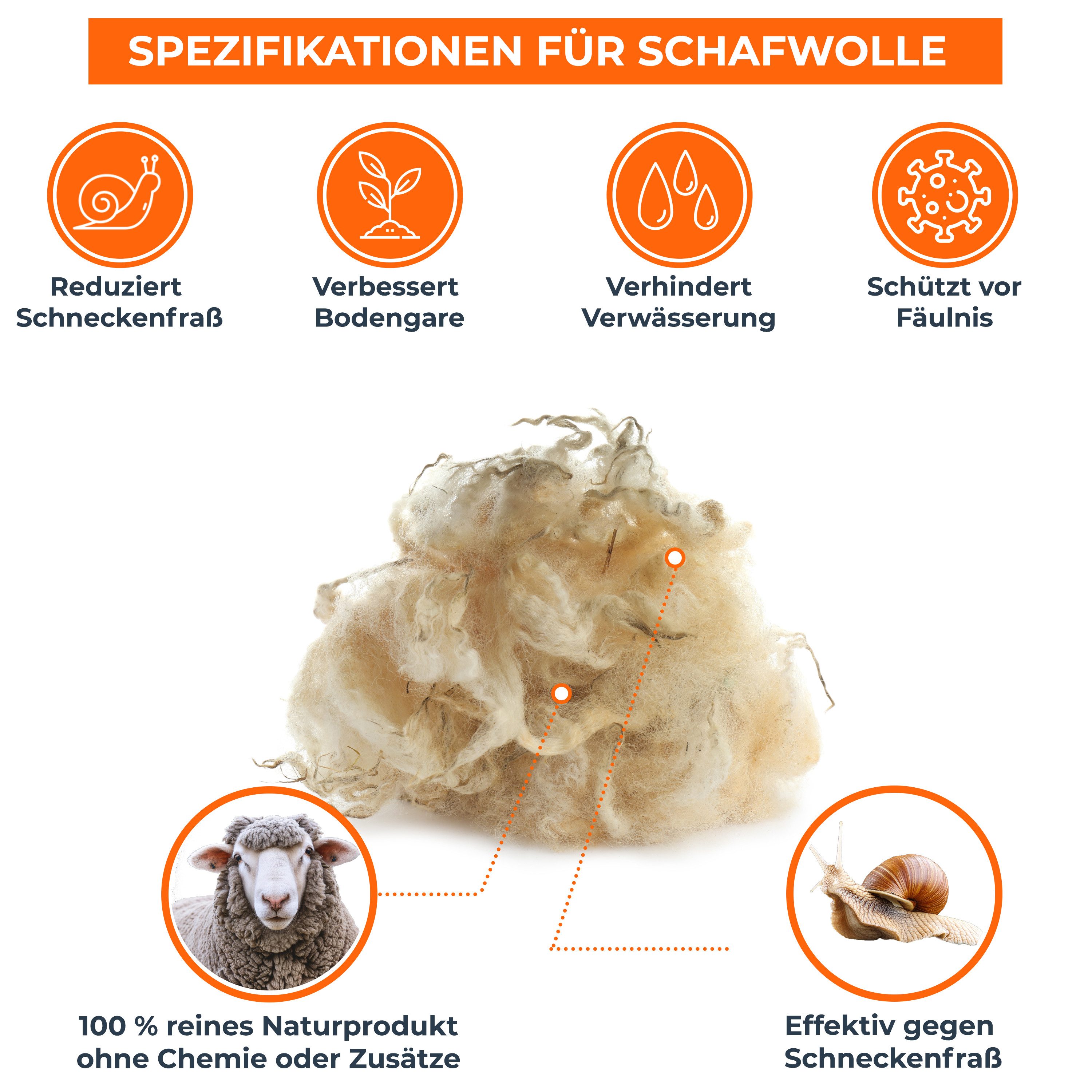 Boxolutions Pflanzendünger Schafwolle, 1 kg günstig online kaufen