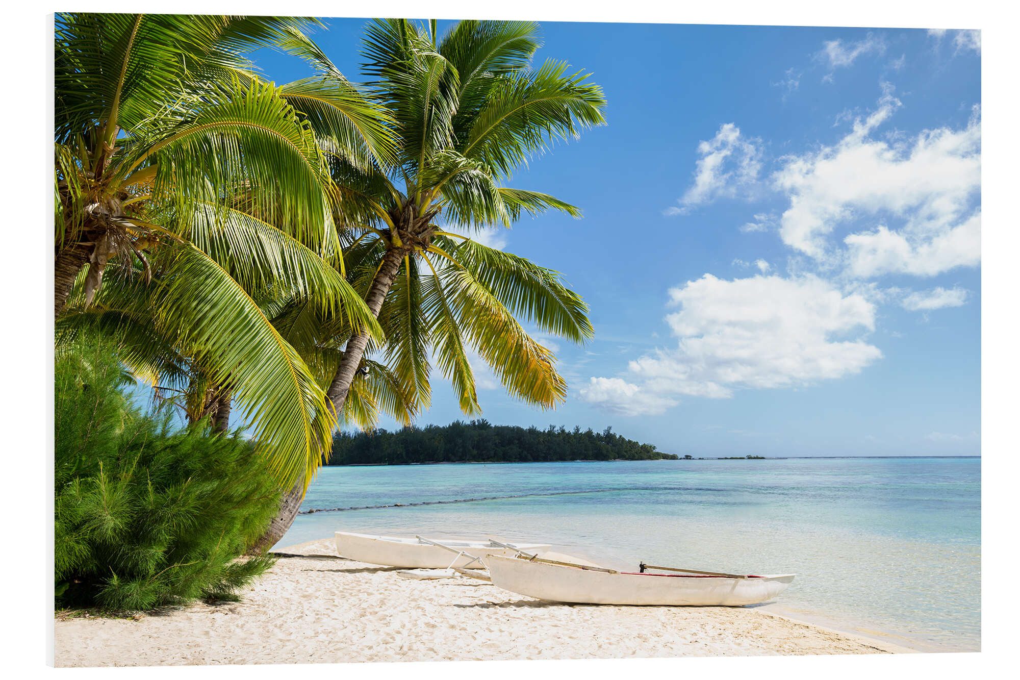 Posterlounge Forex-Bild Jan Christopher Becke, Strand mit Palmen und türkisblauem Meer auf Tahiti, Wohnzimmer Maritim Fotografie