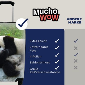 MuchoWow Handgepäckkoffer Pandas - Gras - Stein, 4 Rollen, Reisetasche mit rollen, Handgepäck für Ferien, Trolley, Reisekoffer