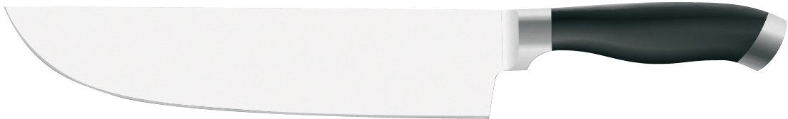 PINTINOX Fleischmesser Coltelli Professional, Edelstahl/Kunststoff, spülmaschinengeeignet