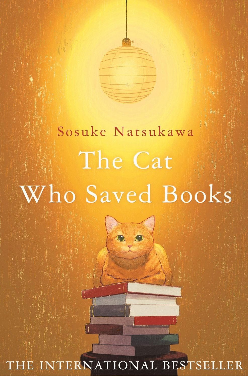 The Cat Who Saved Books / Sosuke Natsukawa