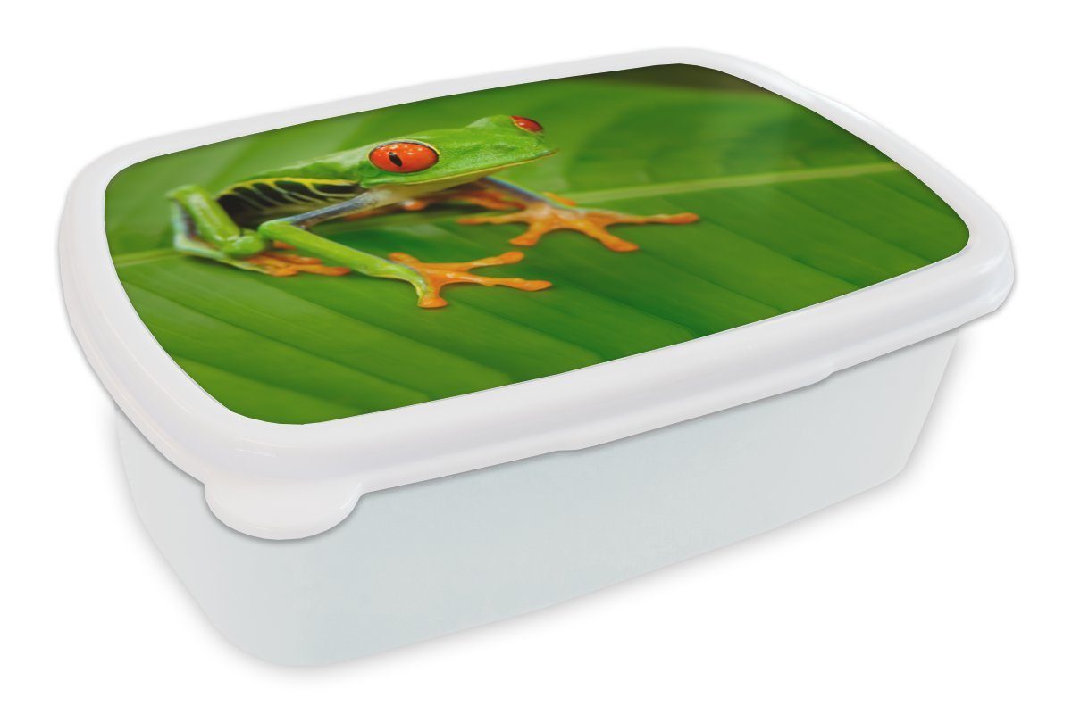 MuchoWow Lunchbox Frosch - Blatt - Grün, Kunststoff, (2-tlg), Brotbox für Kinder und Erwachsene, Brotdose, für Jungs und Mädchen weiß