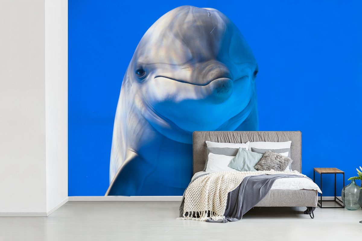 St), Wallpaper einem Matt, für Delfin Wohnzimmer, in (6 bedruckt, Tapete MuchoWow Schlafzimmer, Fototapete Vinyl Aquarium, Kinderzimmer,