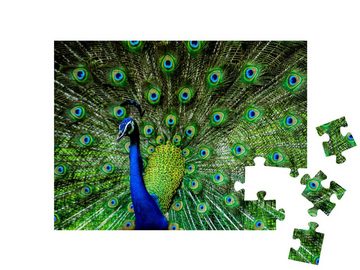 puzzleYOU Puzzle Indischer männlicher Pfau, 48 Puzzleteile, puzzleYOU-Kollektionen Pfauen, Tiere in Dschungel & Regenwald