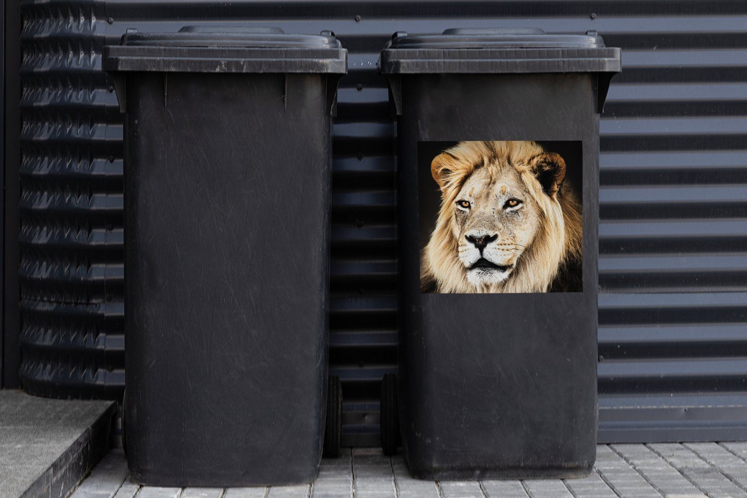 Mülleimer-aufkleber, Container, - Mülltonne, - MuchoWow Farben Abfalbehälter Löwen Sticker, Wandsticker (1 Raubtier St),