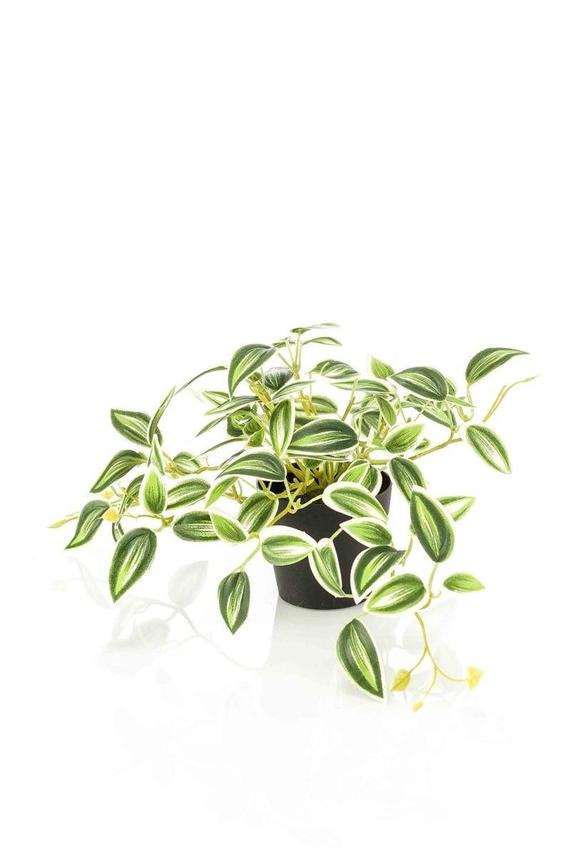 Künstliche Zimmerpflanze Künstliche Tradescantia zebrina DIHALLU im Dekotopf, grün-weiß, 19cm Tradescantia (Tradescantia zebrina), artplants, Höhe 19.0 cm