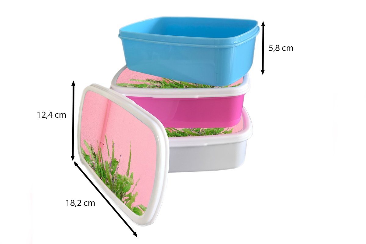 MuchoWow Lunchbox Pflanze - und für Sommer Rosa, Brotdose, Jungs - weiß Brotbox (2-tlg), Mädchen für und Erwachsene, Kunststoff, Kinder