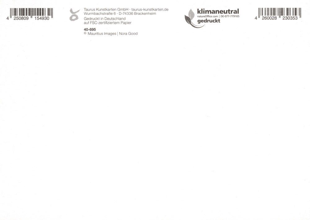 Thumbnail - Postkarte "Schlafende Katze im Bücherregal"