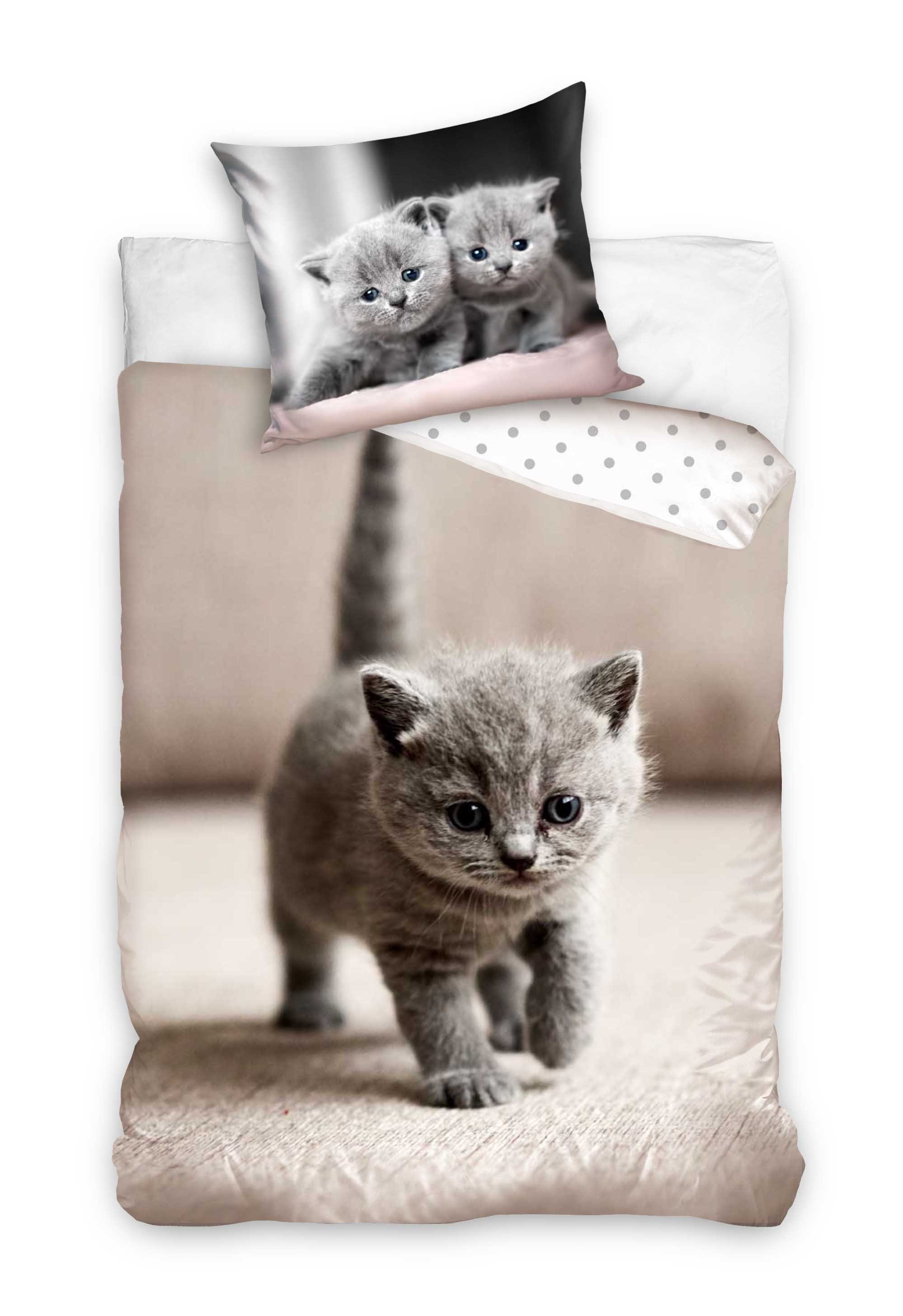 Bettwäsche Baby Cats, One Home, Renforcé, 2 teilig, mit süßen Katzen Welpen