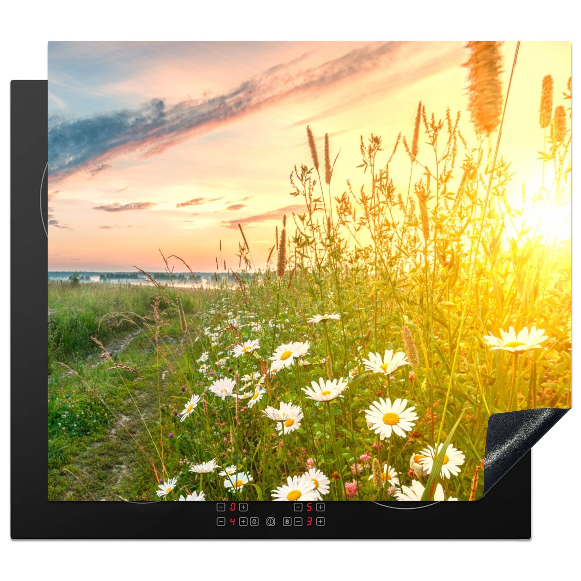 MuchoWow Herdblende-/Abdeckplatte Blumen - Gänseblümchen - Natur - Sonne - Horizont, Vinyl, (1 tlg), 57x51 cm, Induktionsschutz, Induktionskochfeld, Ceranfeldabdeckung
