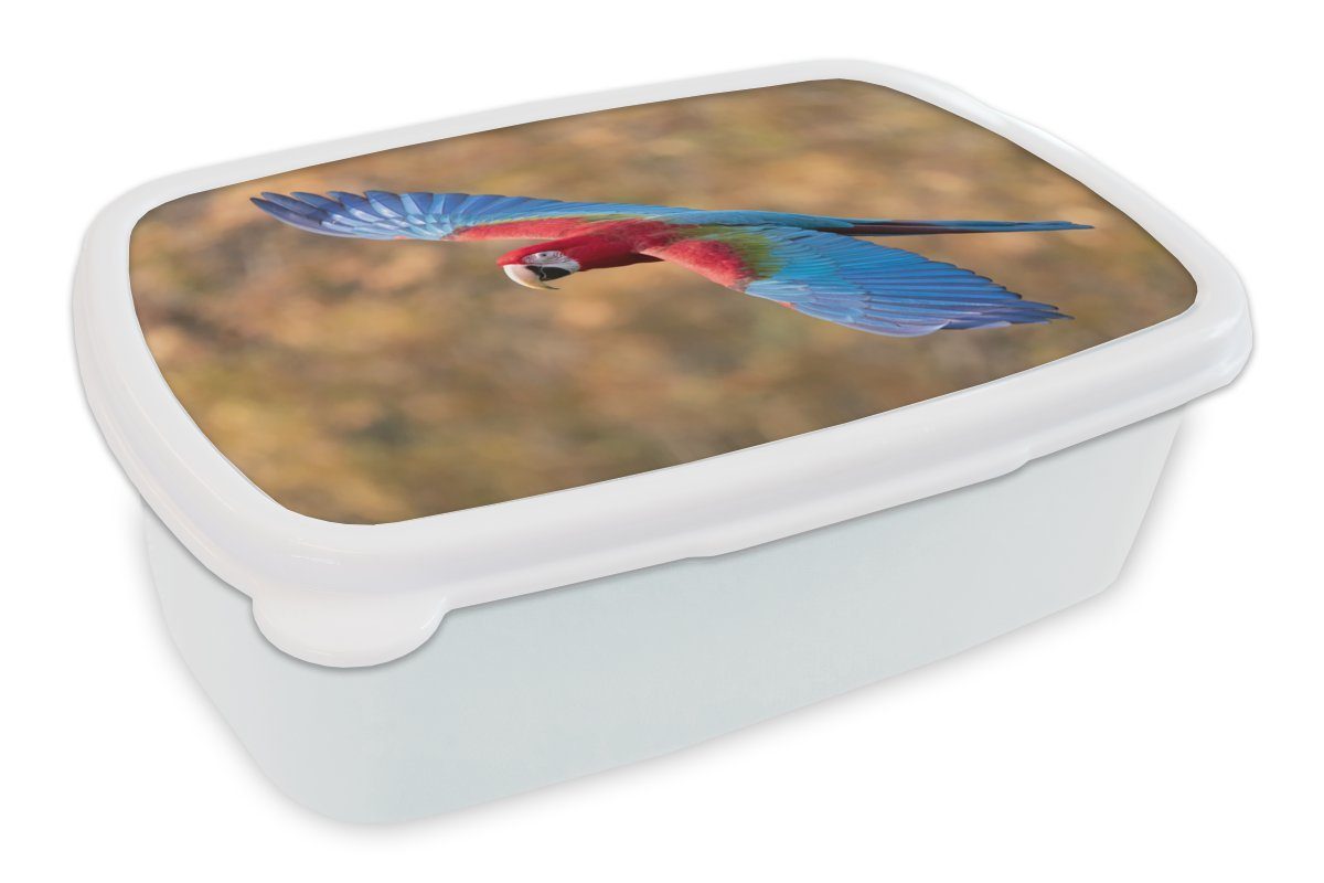 MuchoWow Lunchbox Bunter Papagei mit ausgebreiteten Flügeln, Kunststoff, (2-tlg), Brotbox für Kinder und Erwachsene, Brotdose, für Jungs und Mädchen weiß