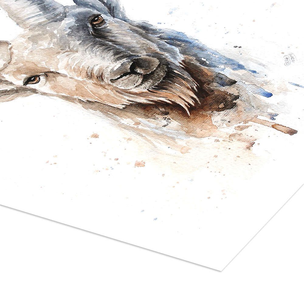 Posterlounge Wandbild Sternzeichen Steinbock, Nadine Conrad, erhältlich als Poster, Leinwandbild, Wandsticker oder Acrylglasbild