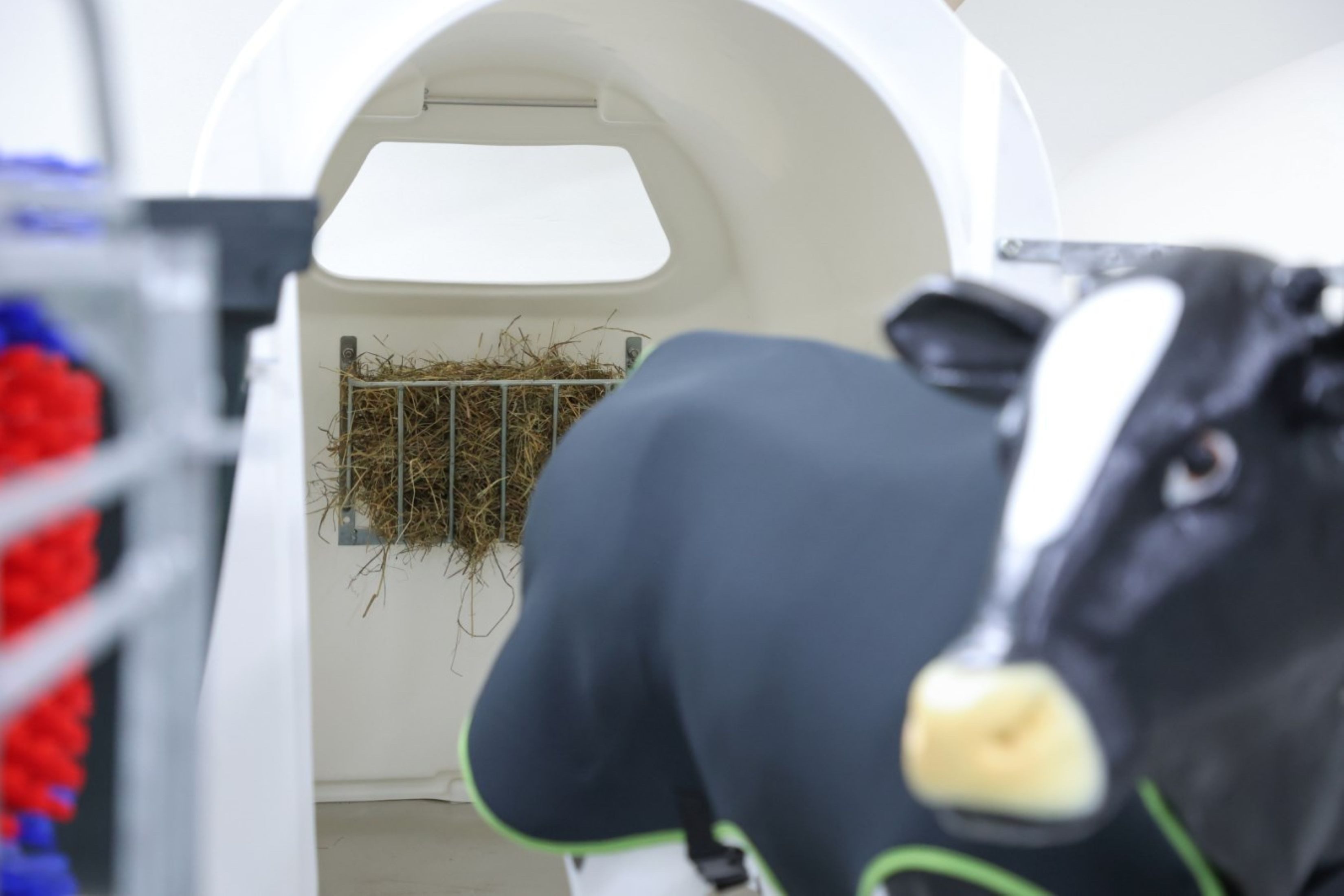 Kerbl Futterspender Heuraufe Stababstand 80 mm Raufe verzinkt 55,9 x 29,5 x22,8cm Kerbl 32