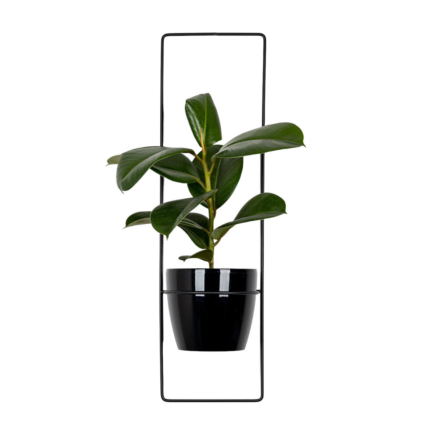 A.D Home Blumentopf (1 St), Wandblumenbeet aus Metall Rechteck 77 cm Gehäuse