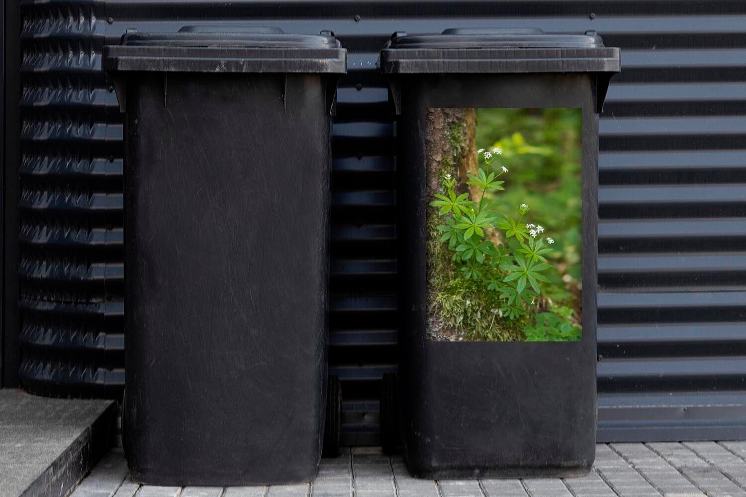Das Mülltonne, Waldmeister vor schönen einem MuchoWow den (1 Container, beleuchtet St), Wandsticker Sticker, Sonnenlicht Abfalbehälter Baum Mülleimer-aufkleber,