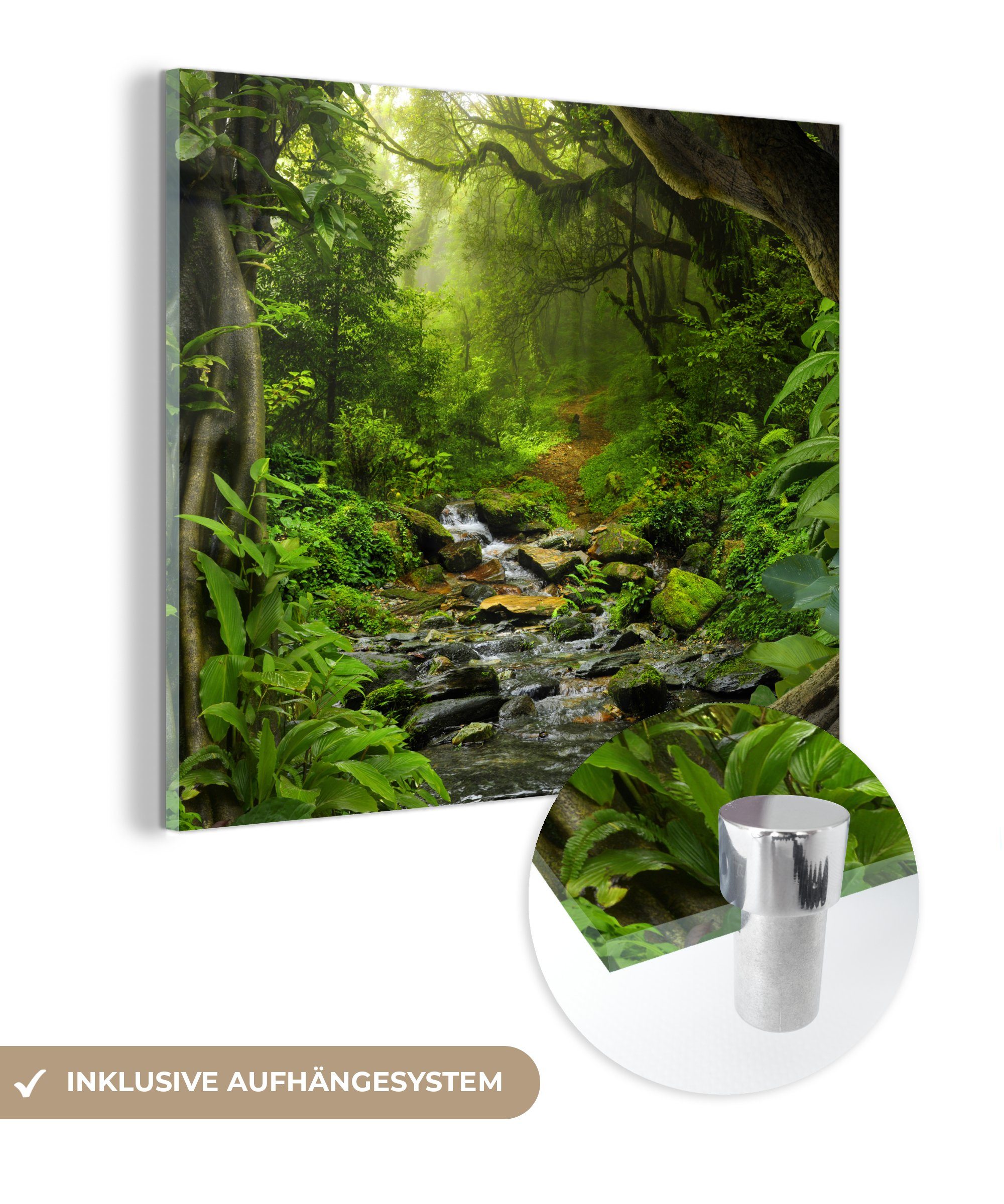 MuchoWow Acrylglasbild Natur - Wasser - Dschungel - Wald - Tropisch, Inkl. Aufhängung, Bilder auf Glas Wandbild, Wanddeko Wohnzimmer Badezimmer, 20x20 cm