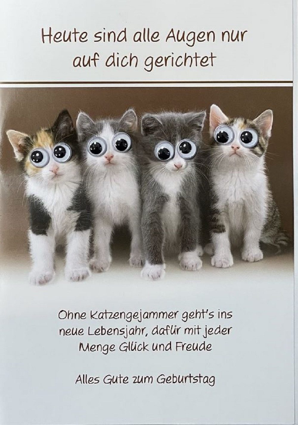 HOME FASHION Geburtstagskarte Katzen, Augen Glückwunschkarte, Geburtstag, Grußkarten, Katzenbabys, Karte mit Kulleraugen, Ideal als Geschenk