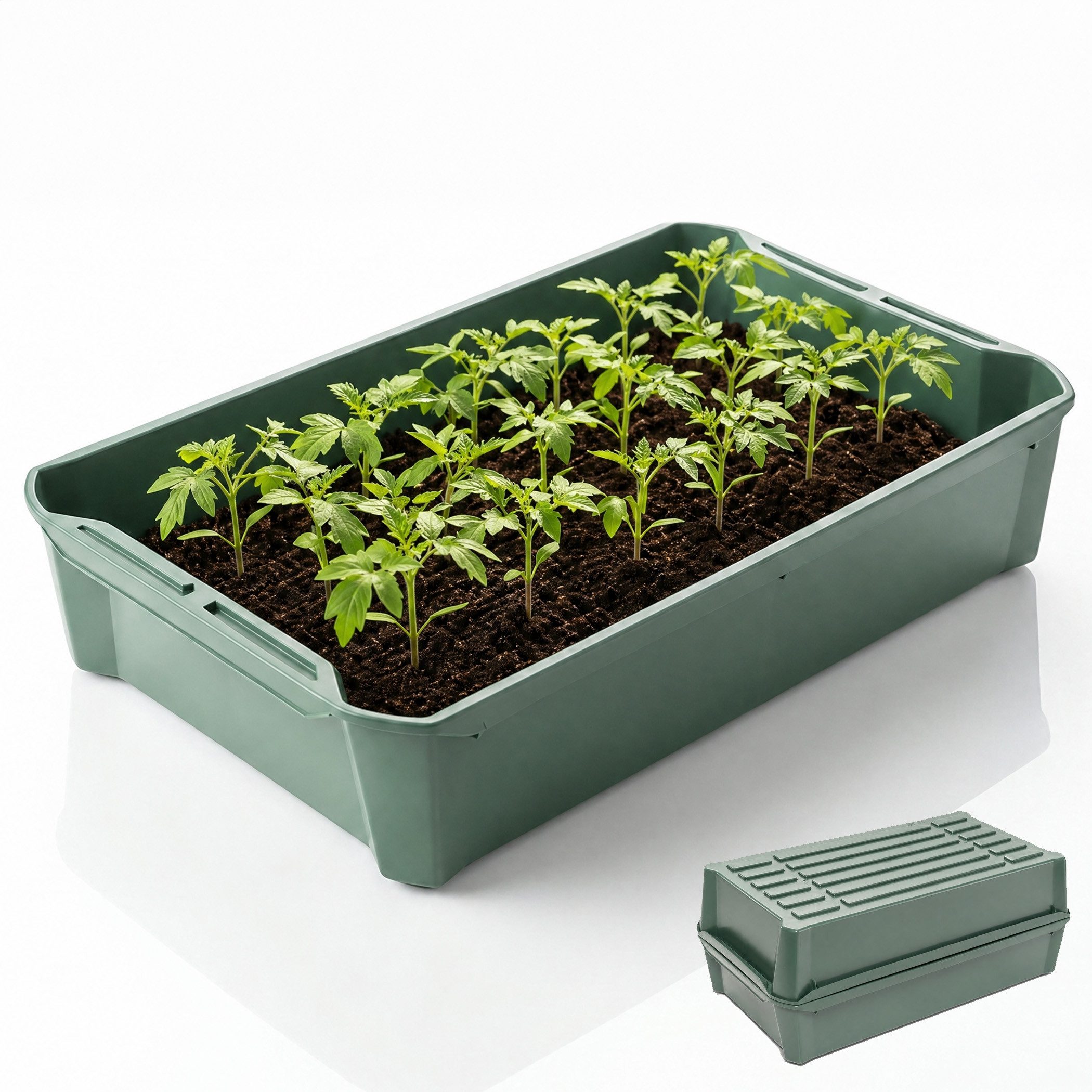 Hausfelder Pflanzschale Pikierschale, Anzuchtschale Grün, 32x58x11cm, 1 Stück (1er Set, 1 St), als Pflanzwanne, Blumenkasten oder Anzuchtschale nutzbar.
