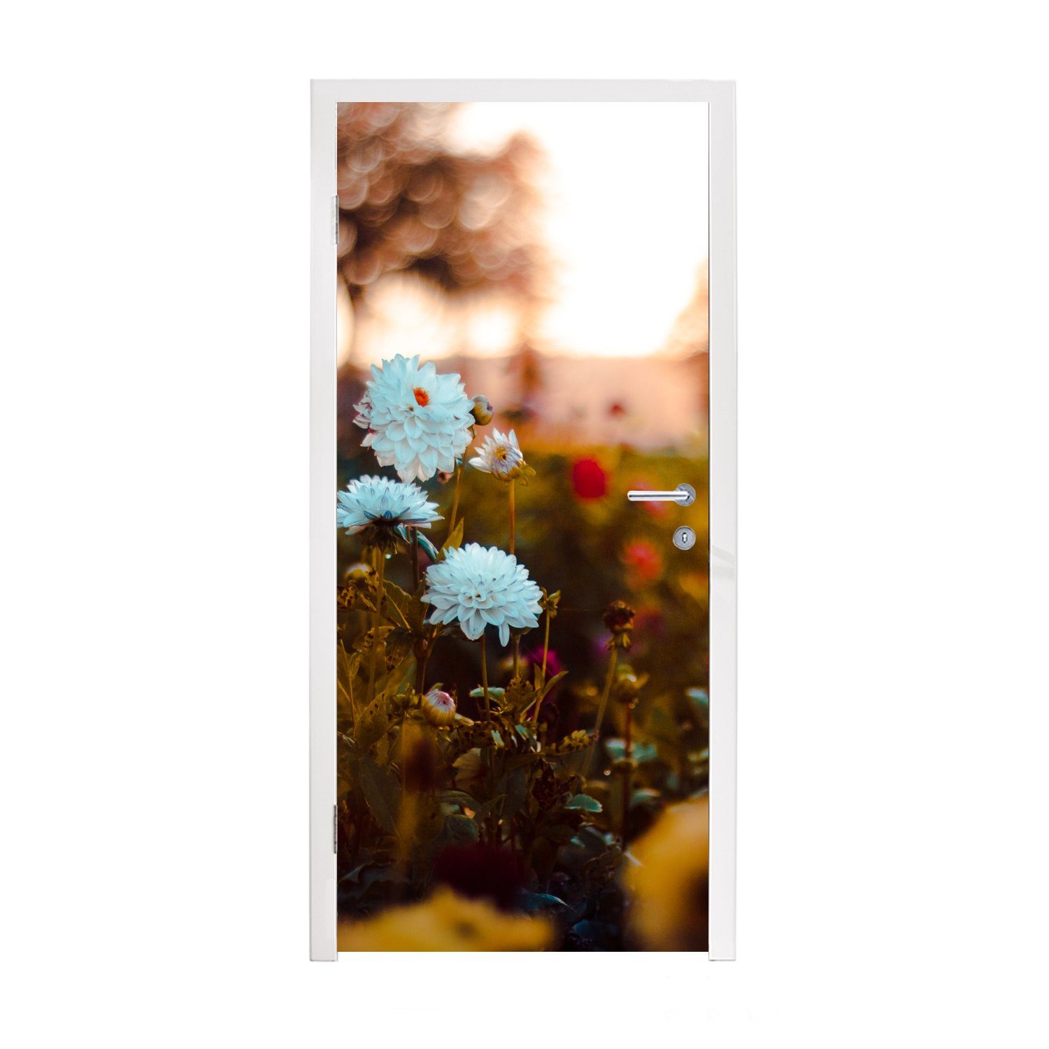 Fototapete St), - Türtapete Sonne Blumen - für (1 75x205 Matt, - Jahreszeiten, Frühling Türaufkleber, bedruckt, MuchoWow cm Tür,