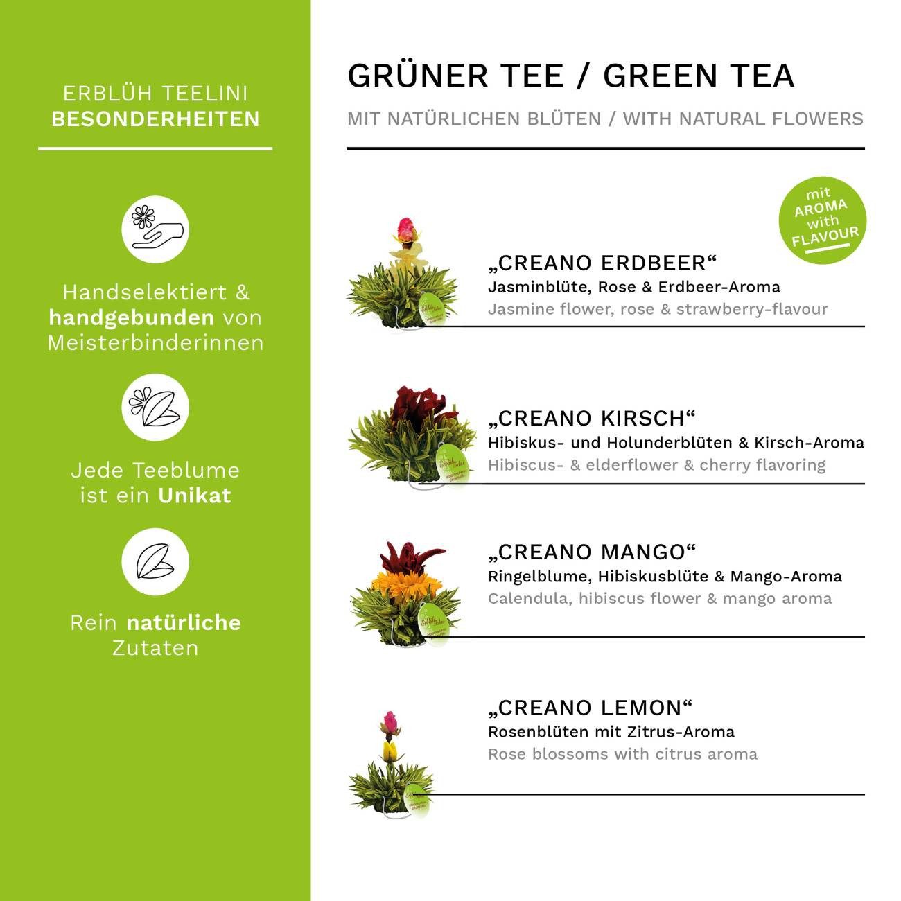 Creano Tee ErblühTeelini 36er Pack „Grüner Tee“, 1 x 36 St.