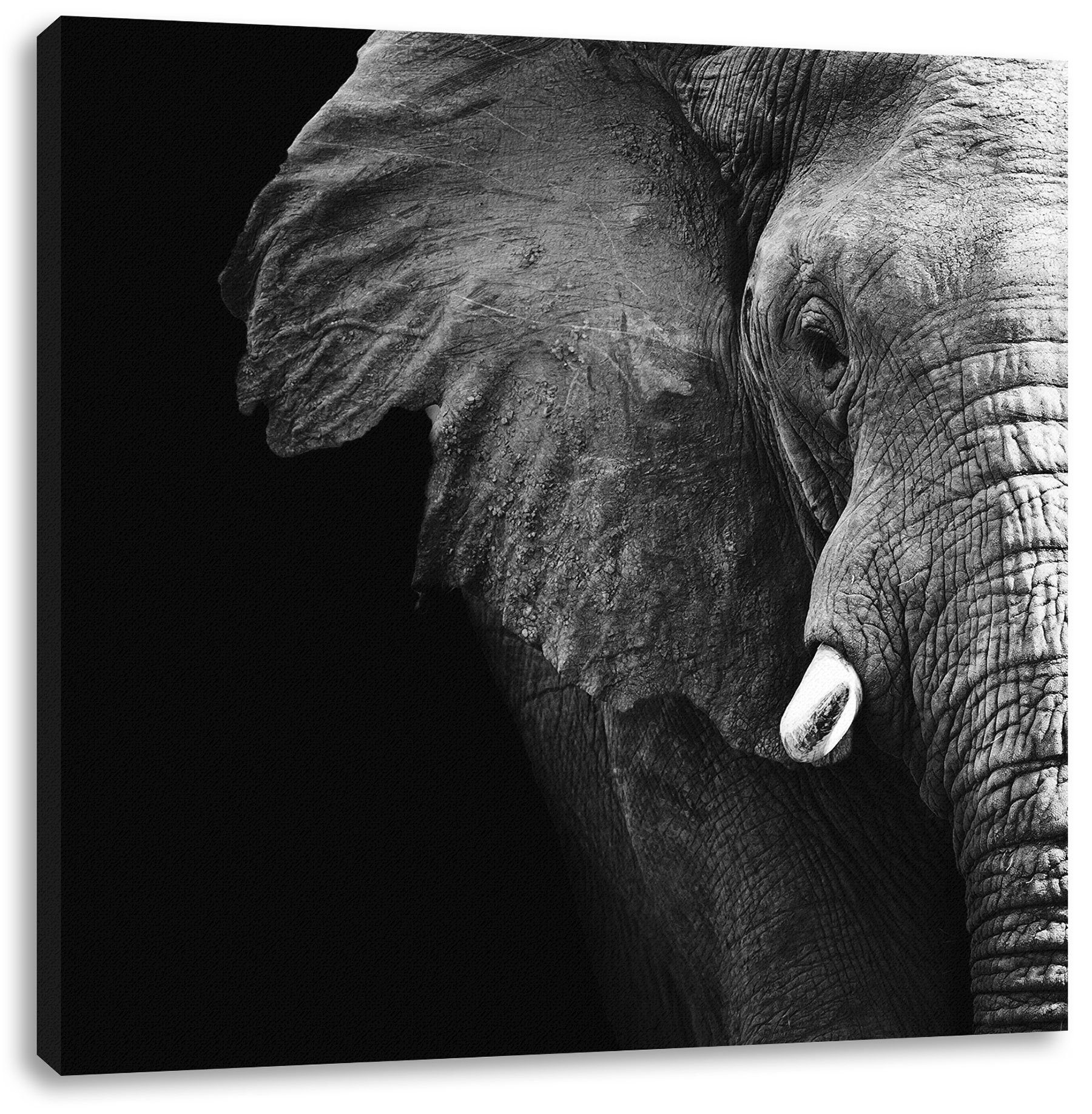 Elefant Leinwandbild Pixxprint Porträt, fertig (1 inkl. bespannt, Porträt Leinwandbild Zackenaufhänger Elefant St),
