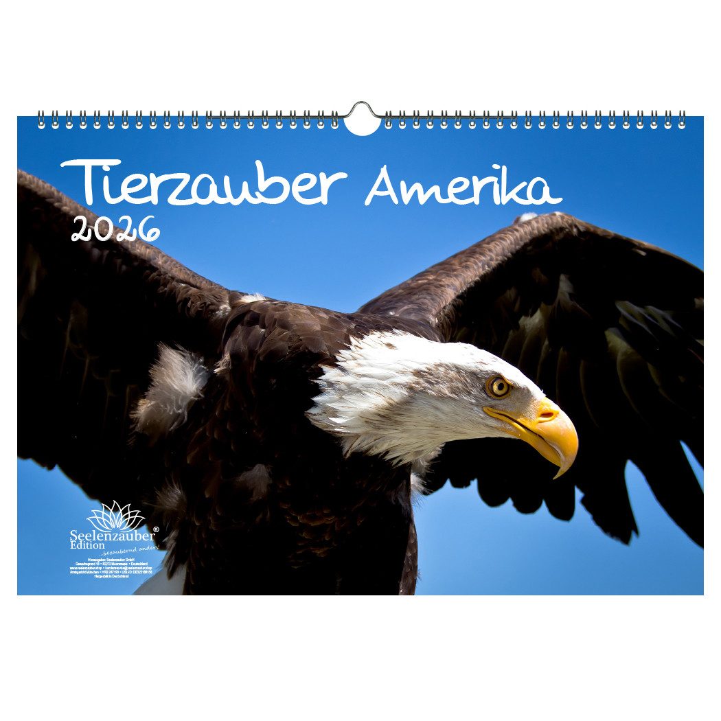 Seelenzauber Настенный календарь Tierzauber Amerika DIN A3 Календари für 2026 Tiere Wald Natur Baum