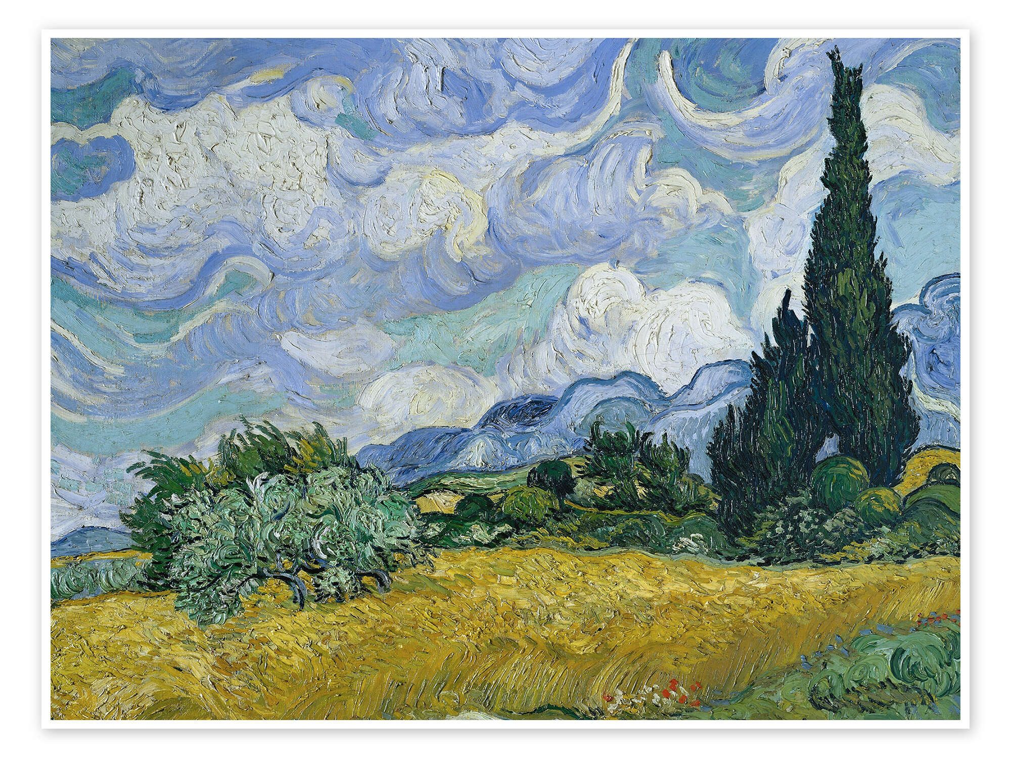 Posterlounge Плакат Vincent van Gogh, Weizenfeld mit Zypressen, 1889, Wohnzimmer Mediterran Malerei