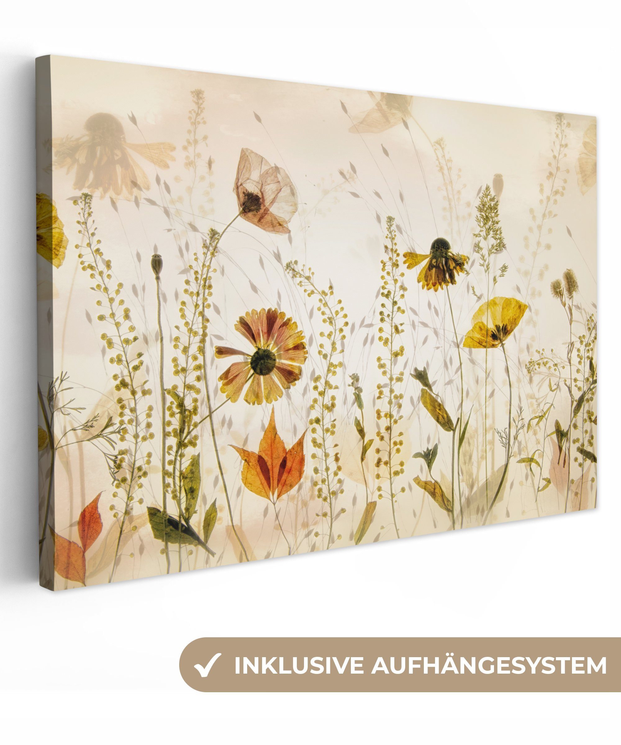 OneMillionCanvasses® Leinwandbild Illustration - Pflanzen - Insekten - Beig günstig online kaufen