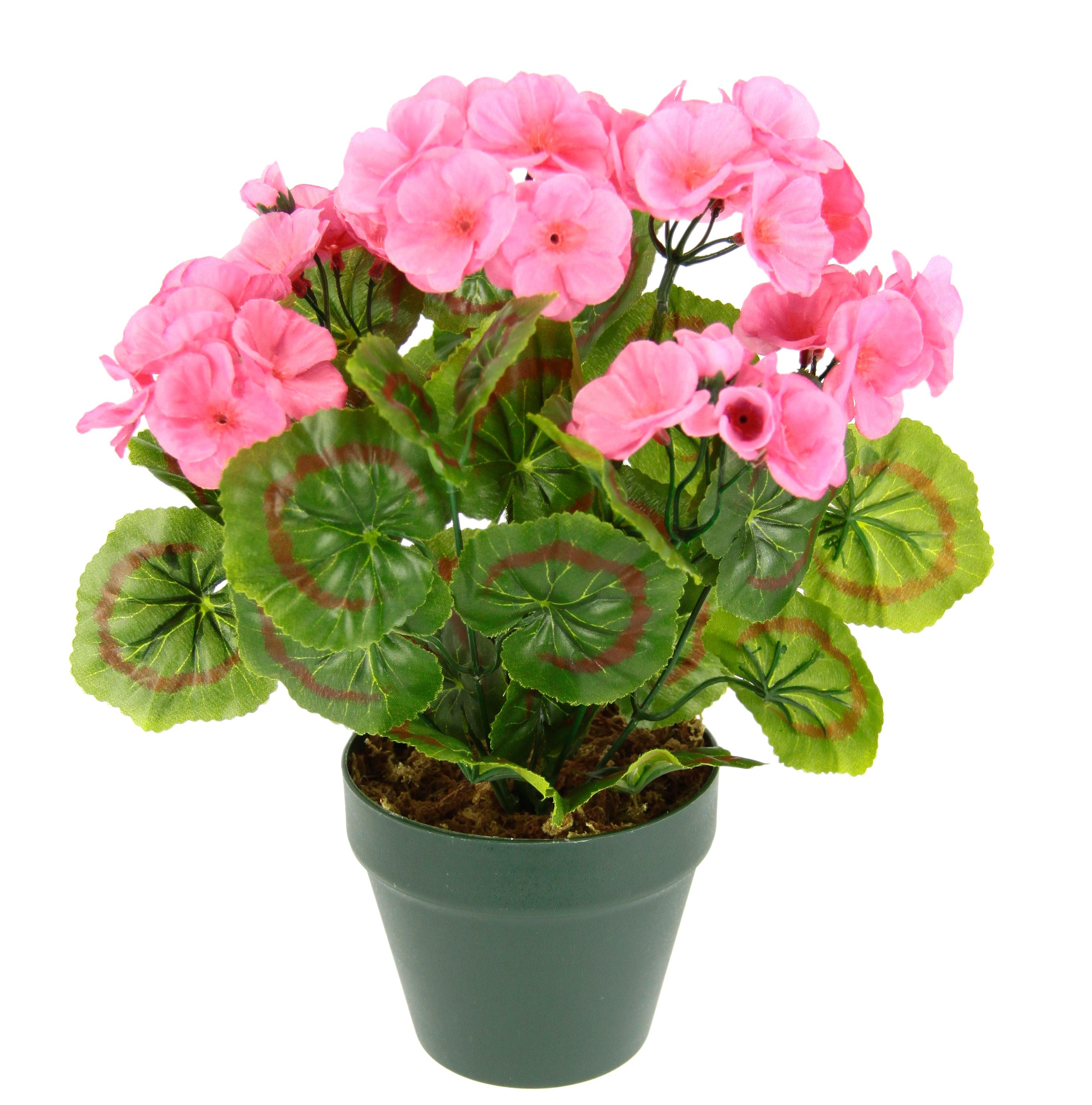 Kunstpflanze Künstliche Geranie im Topf, I.GE.A., Höhe 28 cm, Geranienbusch Seidenblumen Dekopflanze Zimmerpflanze Kunstblumen