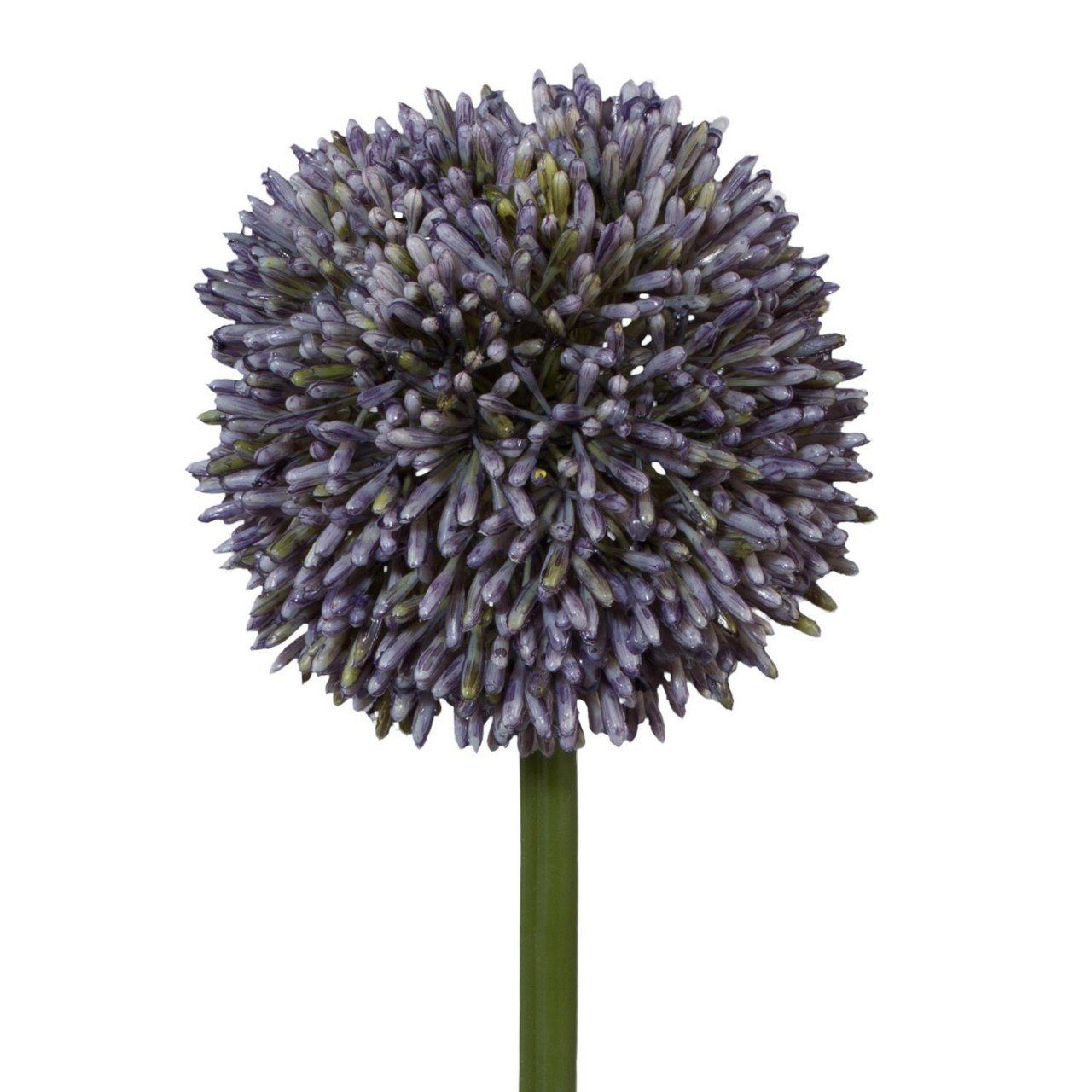 Kunstpflanze, Gasper, Höhe 64 cm, Lila H:64cm Kunststoff