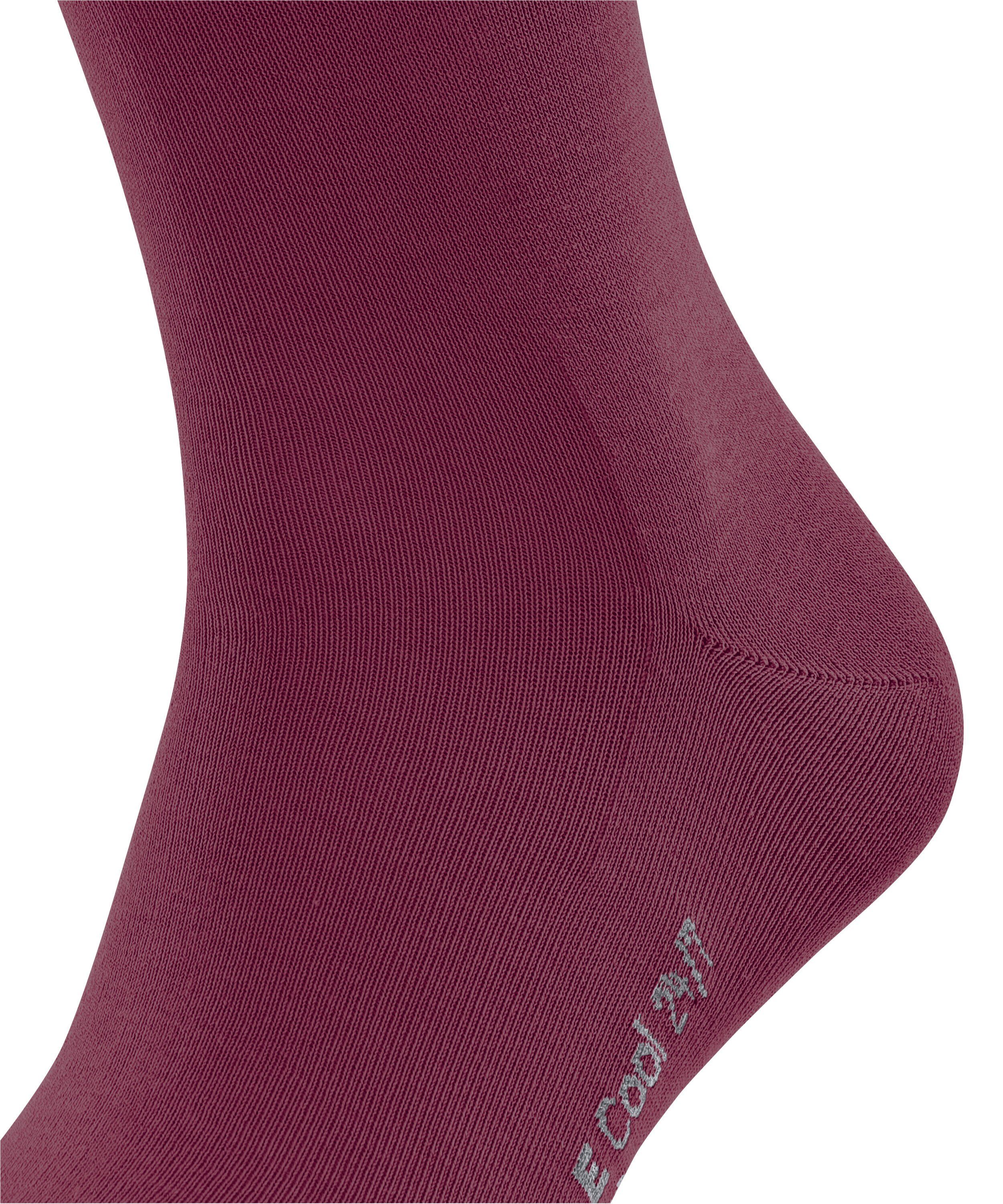 FALKE 24/7 Socken red Cool plum (8236) (1-Paar)