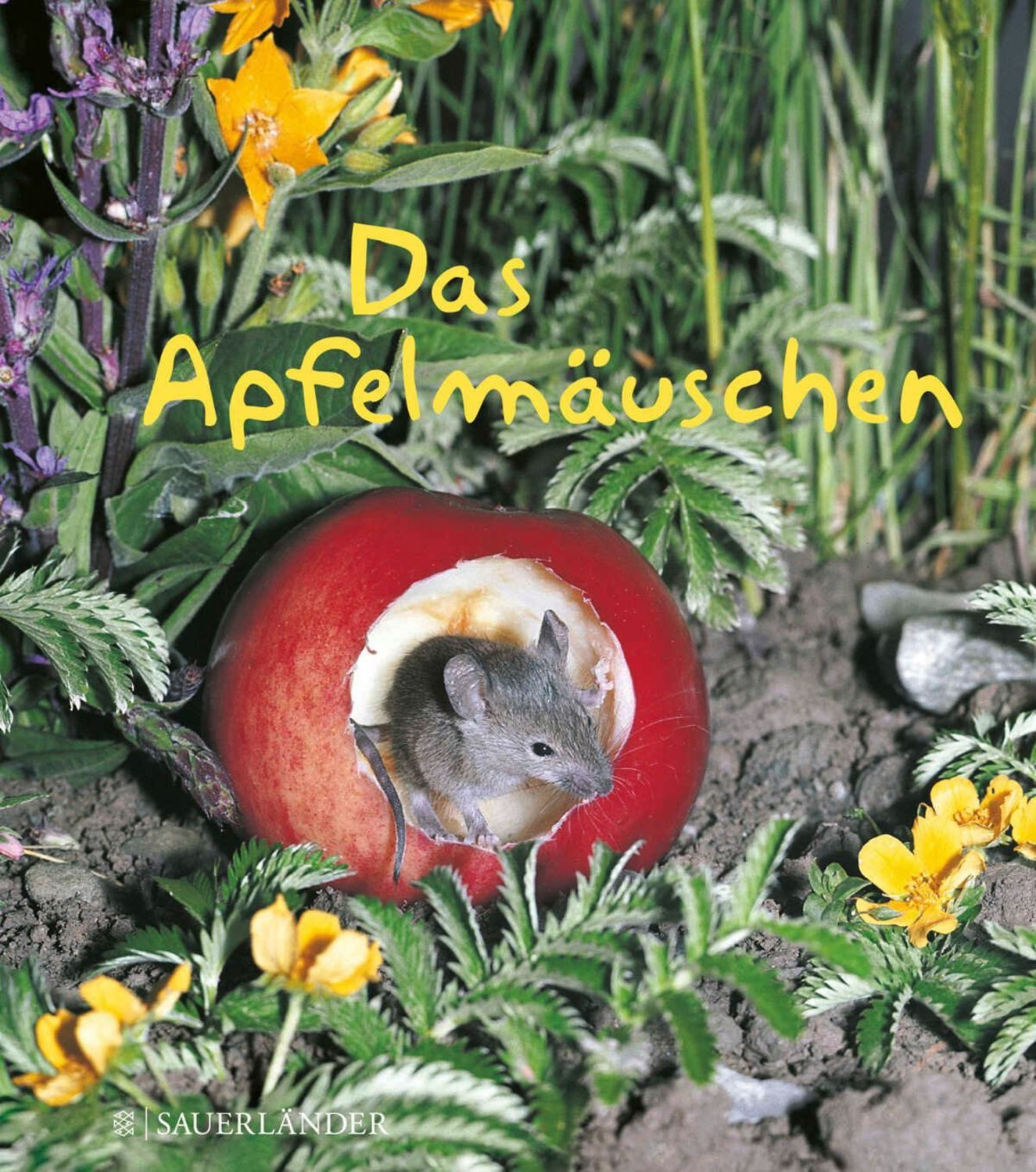 Das Apfelmäuschen (Mini-Ausgabe) / Mathilde Reich, Ulrich Thomas