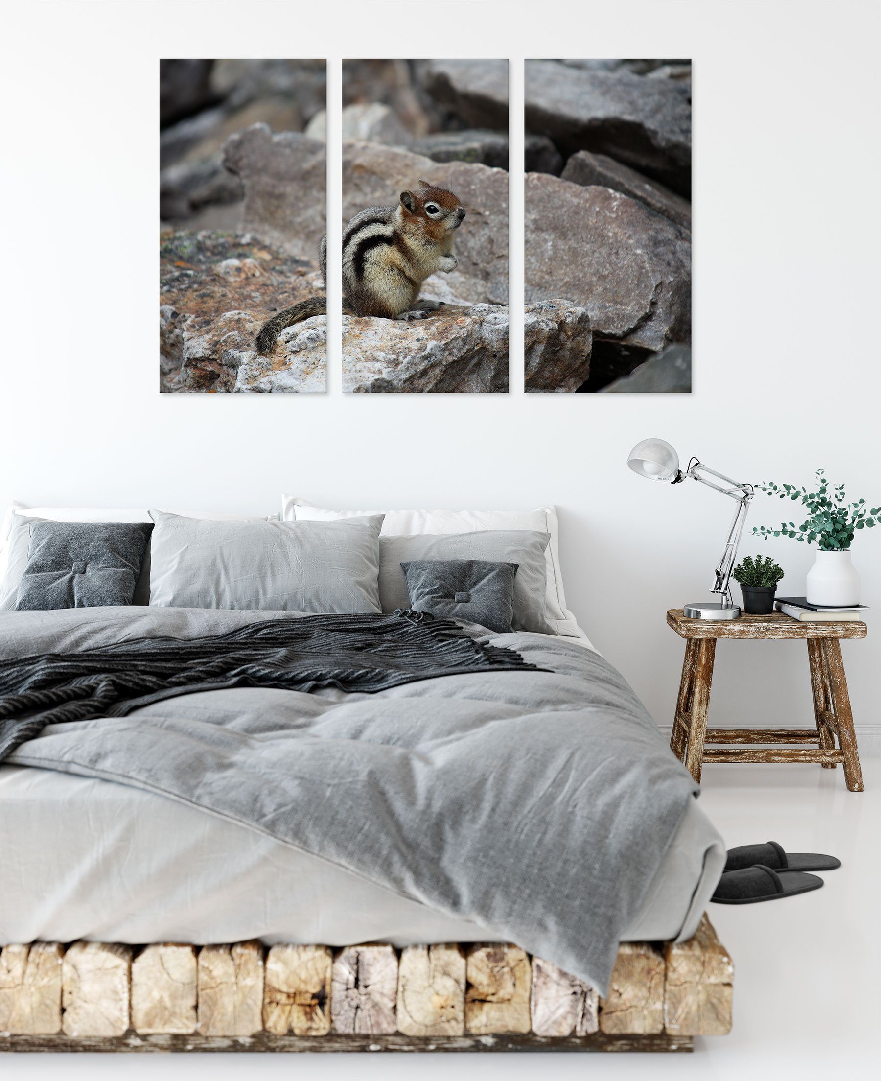 (120x80cm) fertig Streifenhörnchen bespannt, schüchternes Zackenaufhänger schüchternes Leinwandbild inkl. Streifenhörnchen, 3Teiler Leinwandbild St), (1 Pixxprint